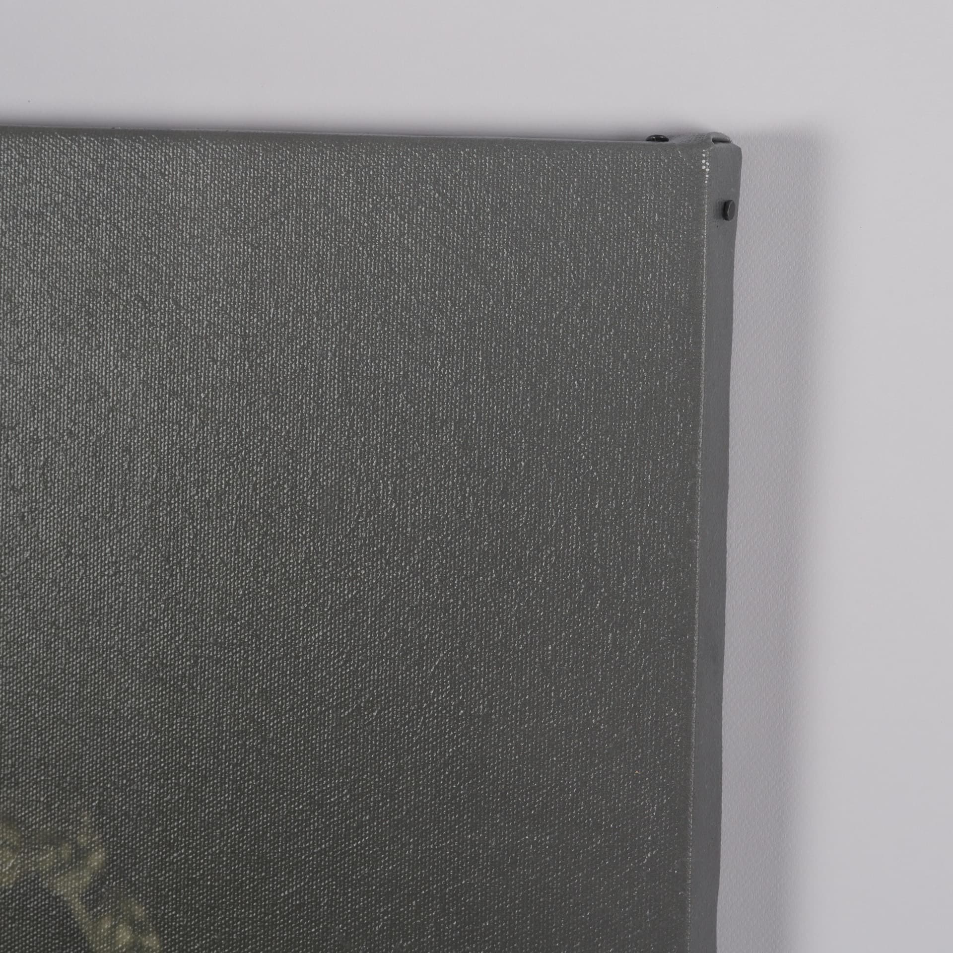 Hanging Delight by Michael Banks a Hand Embellished Framed Photo Art Print Matted under Glass — product photograph