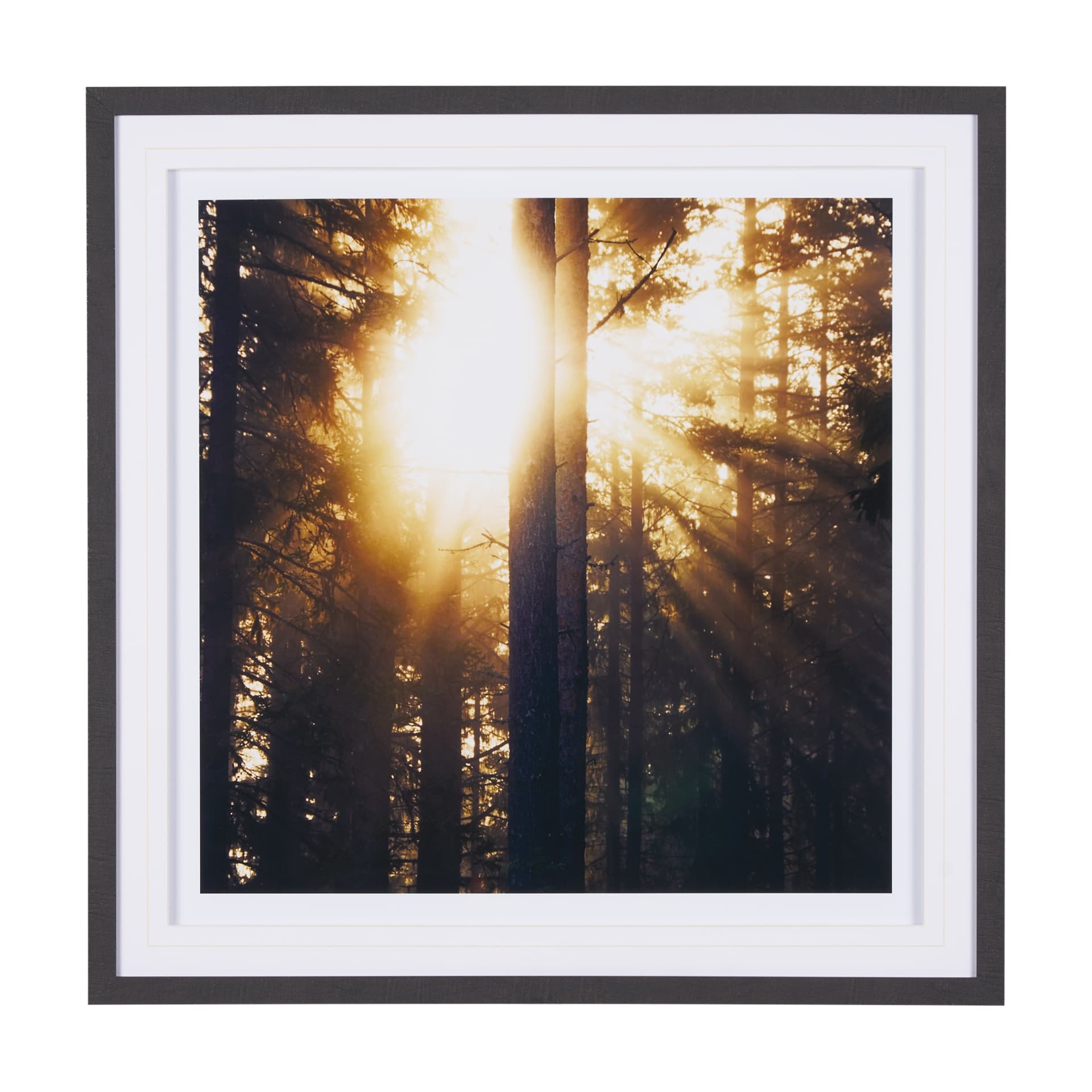 Woodland Glow by Andreas Stridsberg a Hand Embelished Textured Framed Art Photo Matted under Glass — product photograph