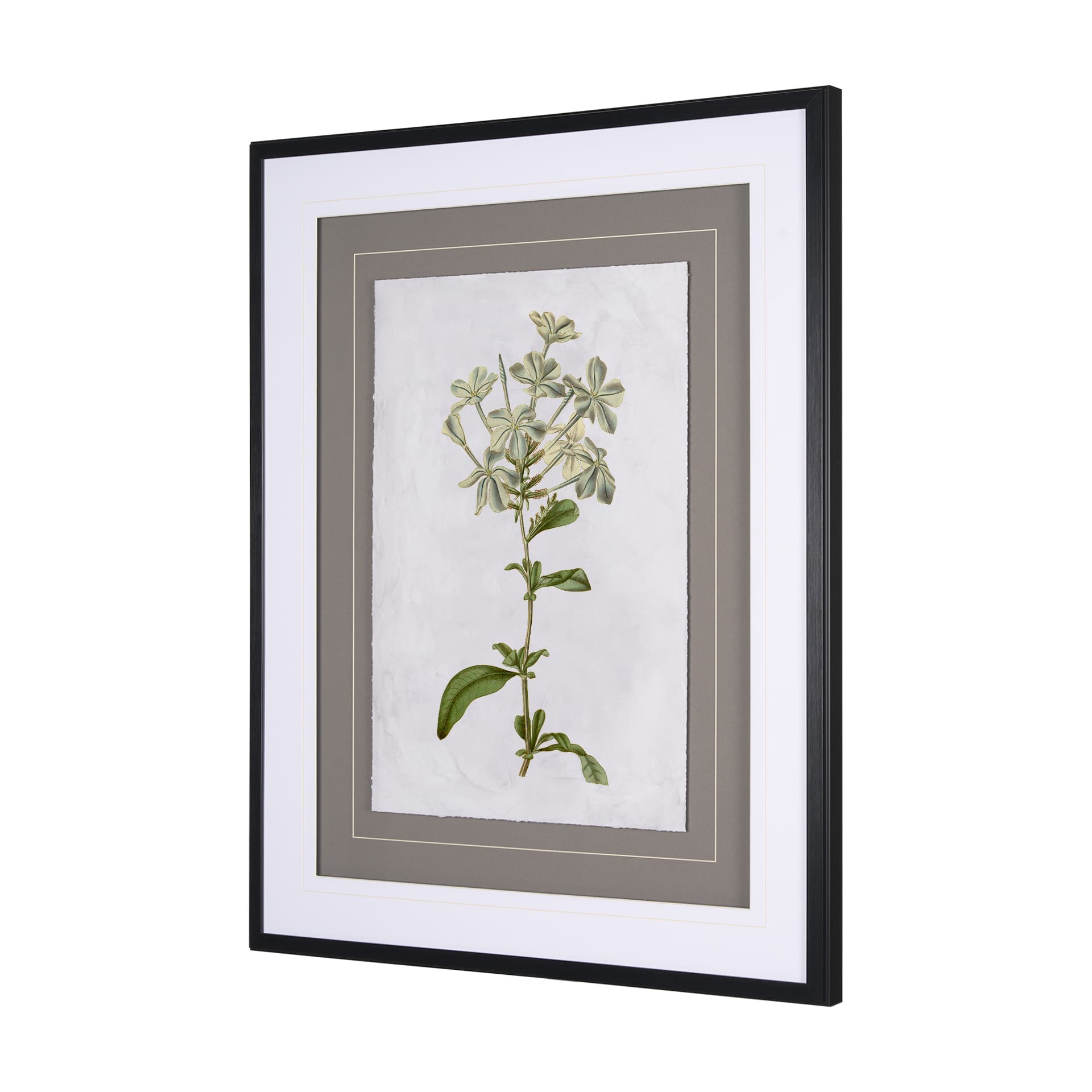 Soft Blue Botanoicals VII by Mercana Studio Hand Embellished Framed Art Print Matted under Glass — product photograph