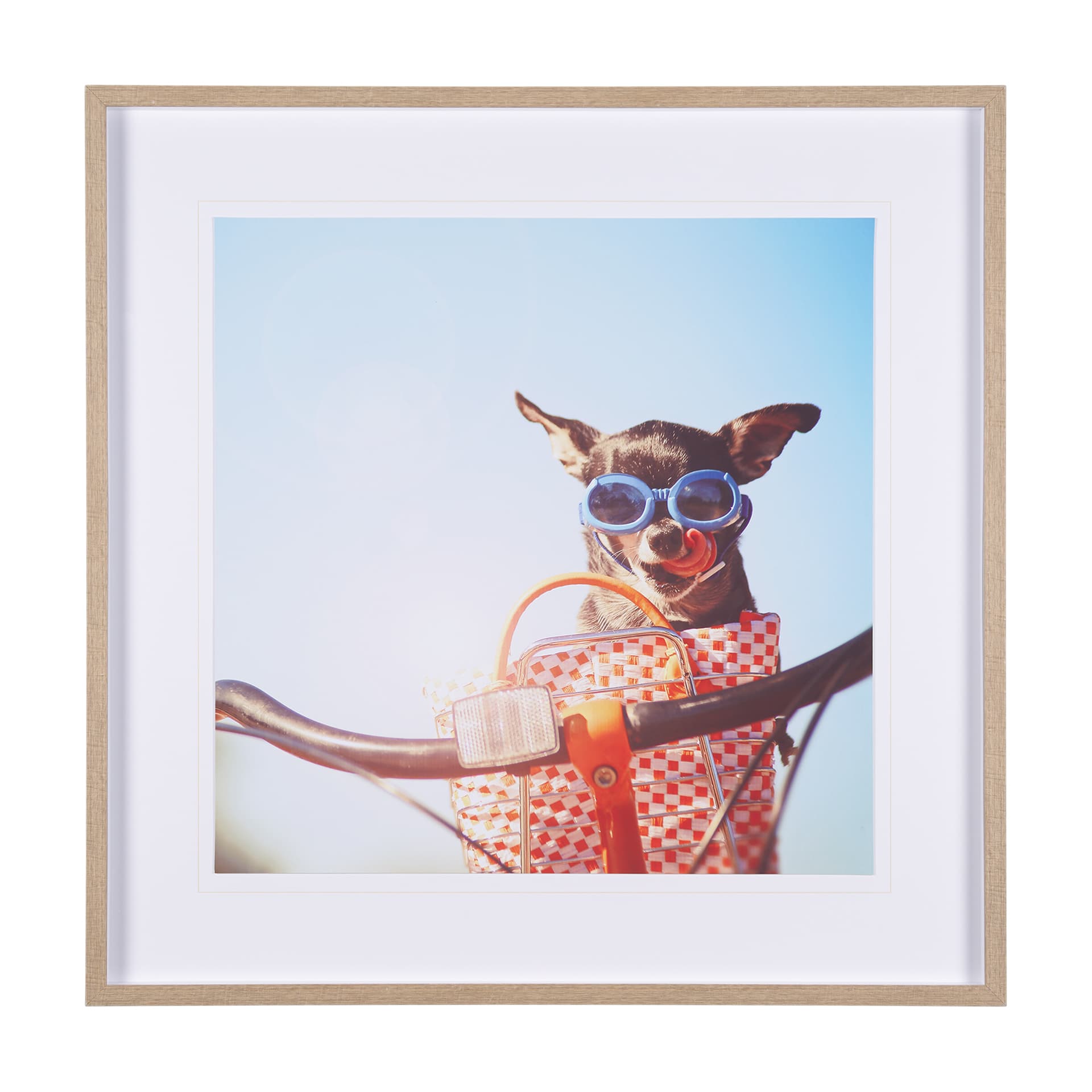 Retro Chihuahua by THE Studio a Framed Photo Art Print Matted under Glass — product photograph