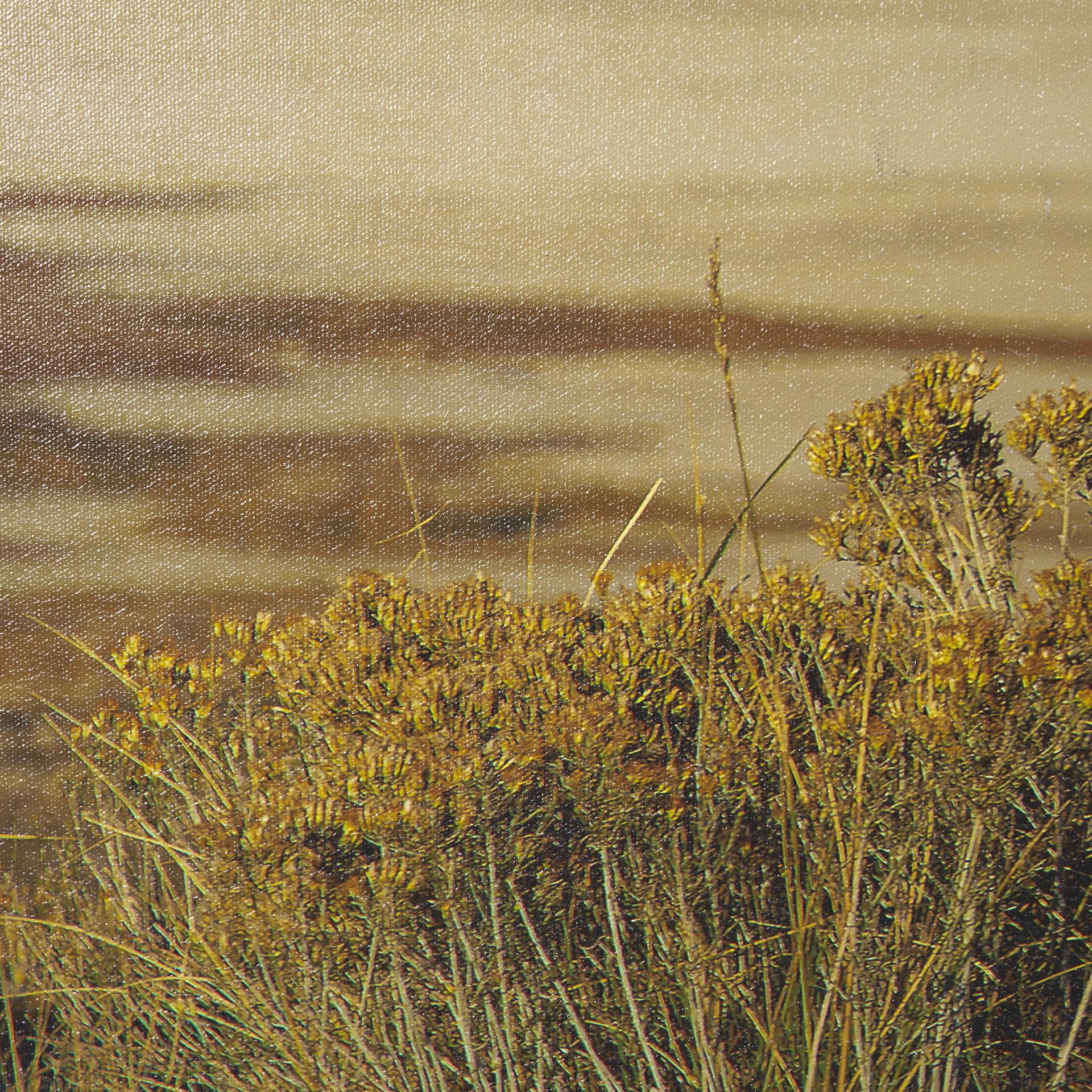 Antelope Island by Gary Blatter a Hand Embellished Textured Framed Photo Art Print — product photograph