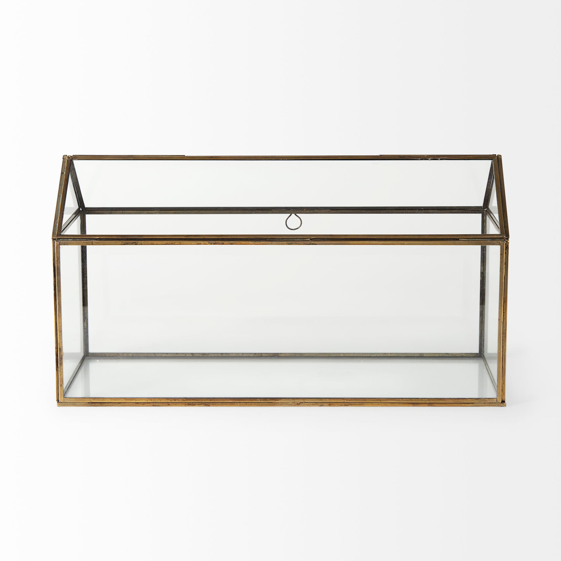 Hutt 16L x 6W x 9H Gold Glass Terrarium Box — product photograph