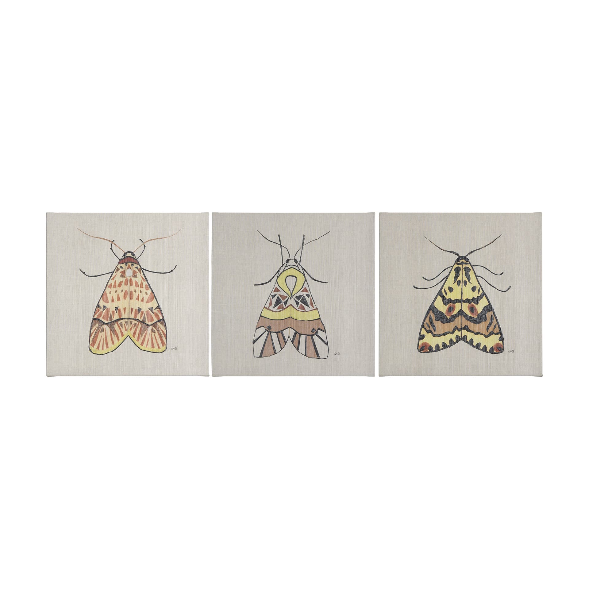 Moth II by Mercana Studio a Hand Embellished Textured Canvas — product photograph