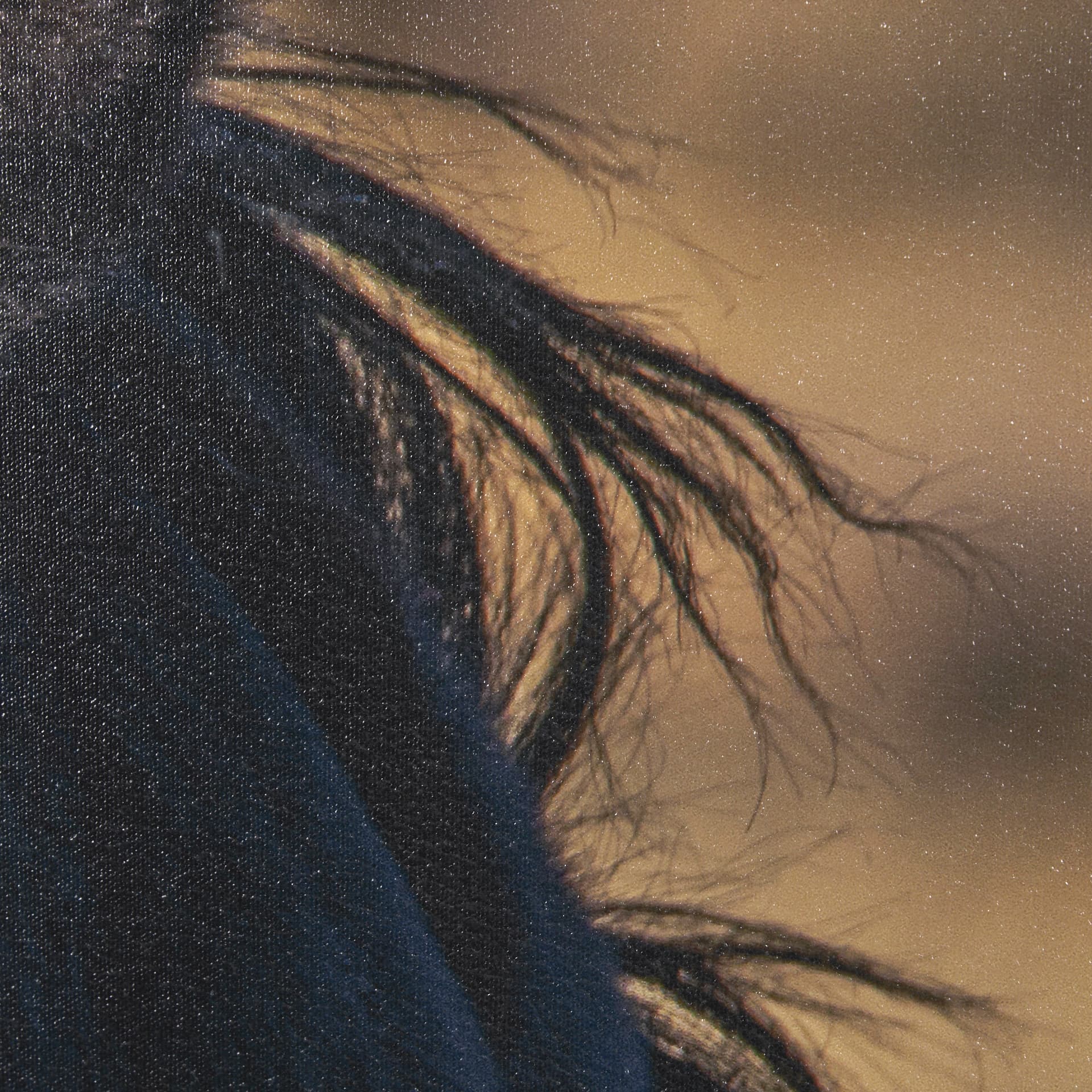 Wild Horses by Gary Blatter a Hand Embellished Textured Framed Photo Art Print — product photograph