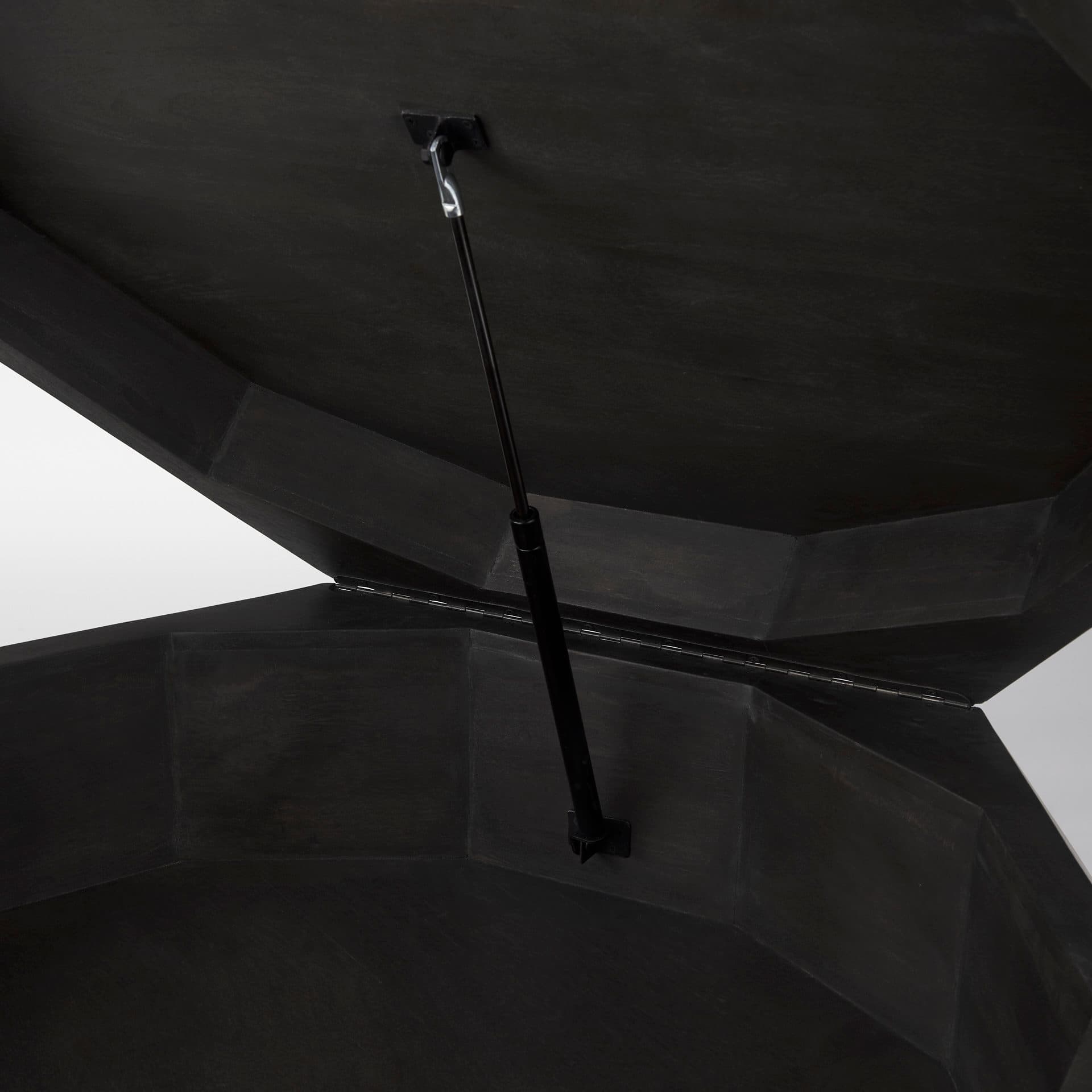 Arreto 48" Black Solid Wood Hexagonal Storage Coffee Table — product photograph