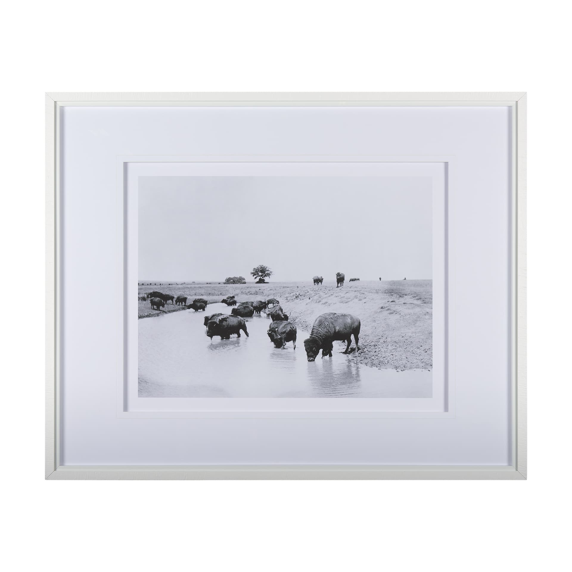 Buffalo Brook by Mercana Studio a Hand Embellished Textured Framed Art Photograph Matted under Glass — product photograph