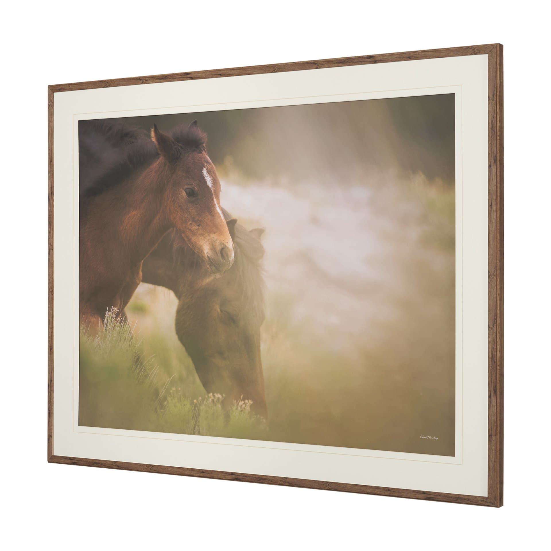 Magic by Chad Mackay FramedPhoto Print Matted under Glass — product photograph