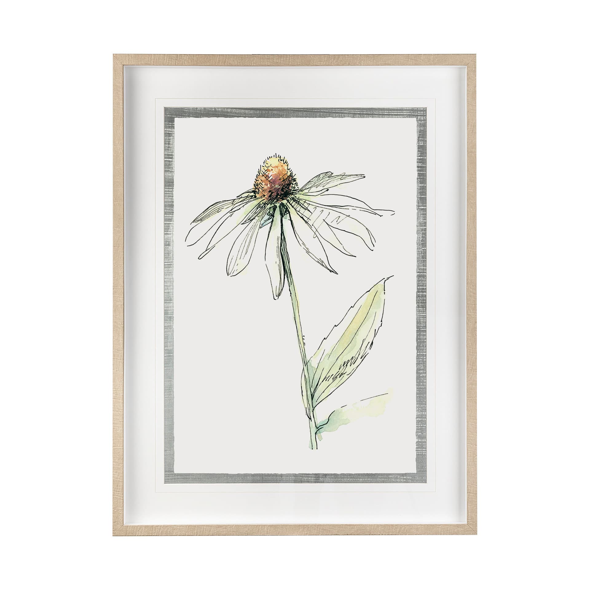Echinacea II by Panpan Zhang a Framed Art Print Matted under Glass — product photograph