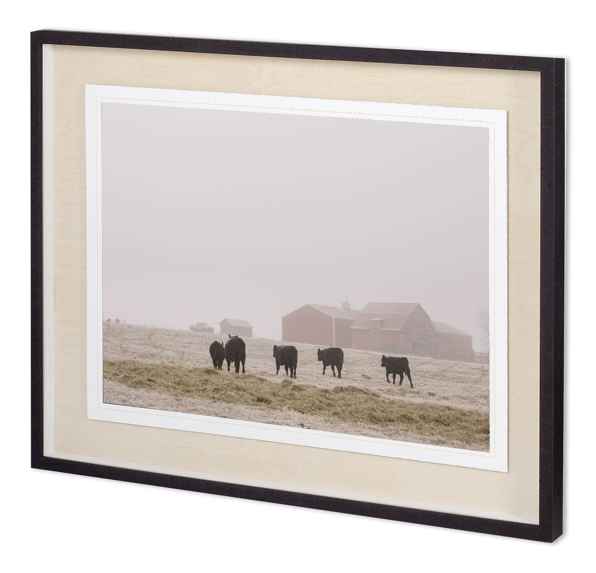 Custom Farm Study IV by Adam Mead a Framed Photo Art Print Matted under Glass — product photograph