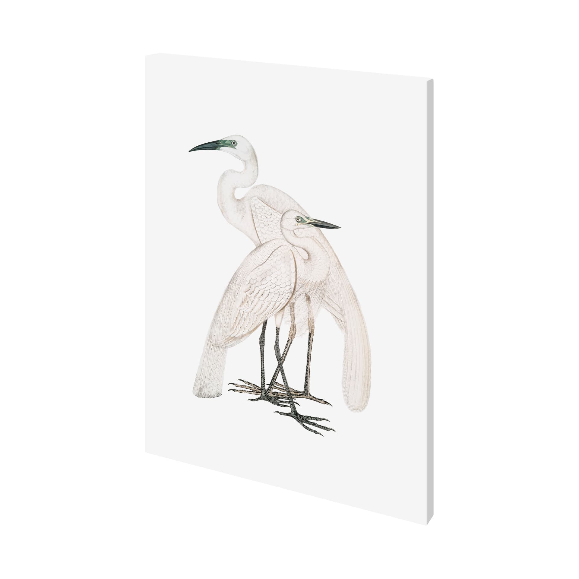 Black Billed Heron by Maria Mendez a Hand Embellished Textured Canvas — product photograph