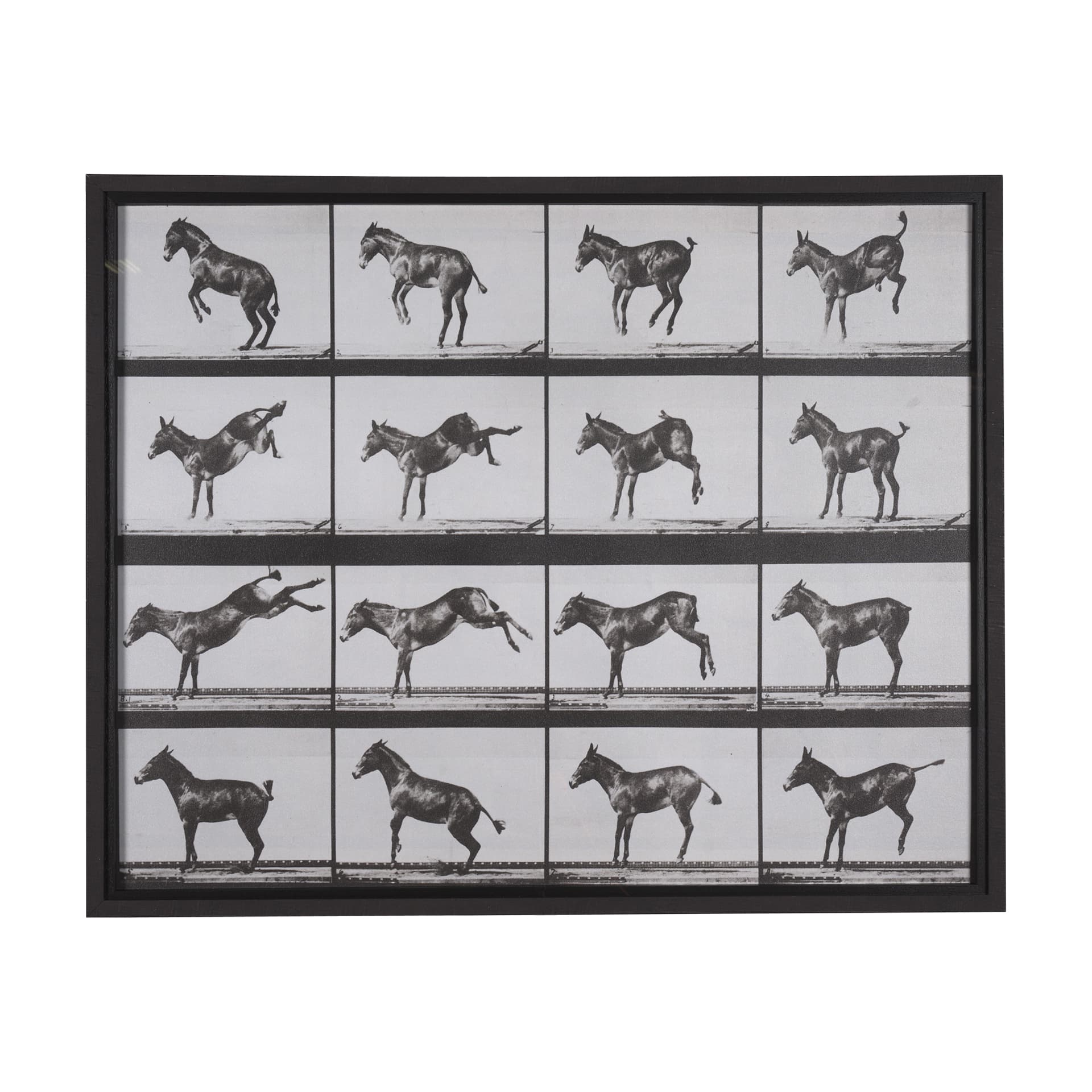 Bucking and Kicking by Eadweard Muybridge Hand Embellished Framed Art Print Matted under Glass — product photograph