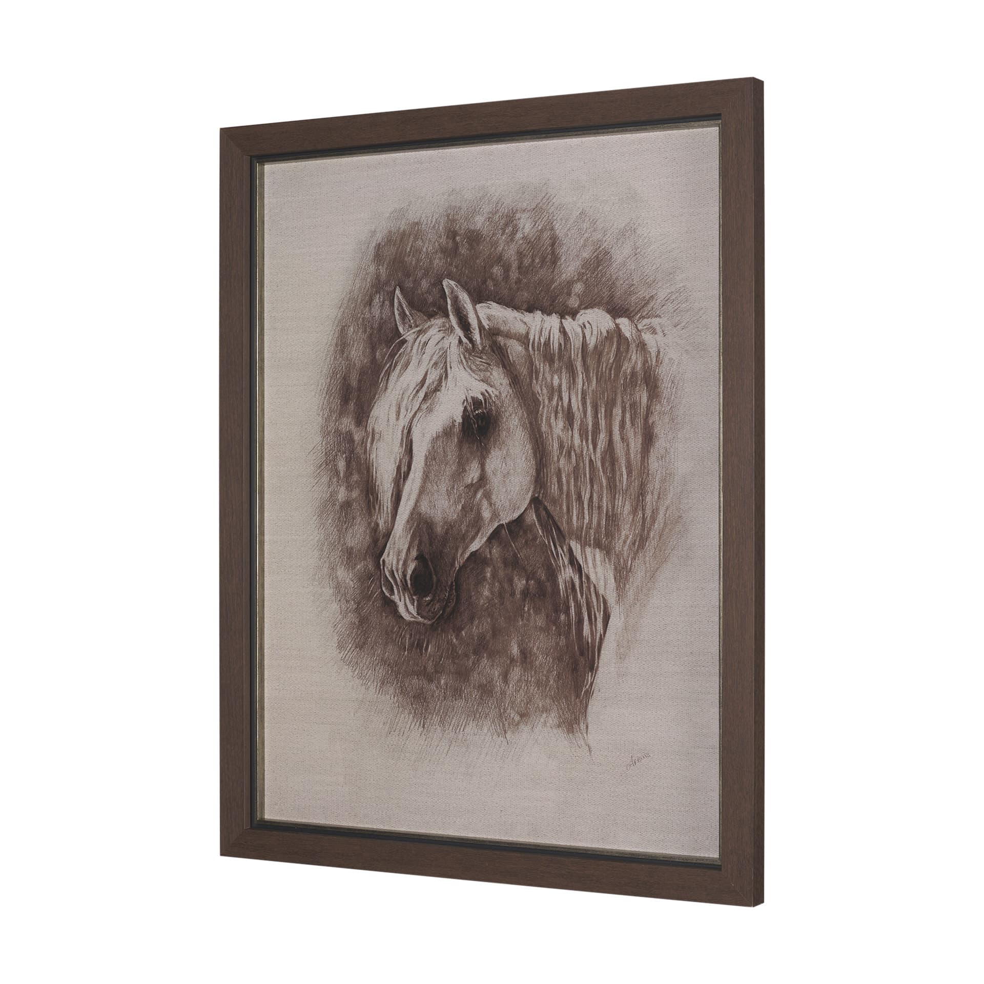 Portrait of a Thoroughbred I by Mercana Studio a Framed Art Print Matted under Glass — product photograph