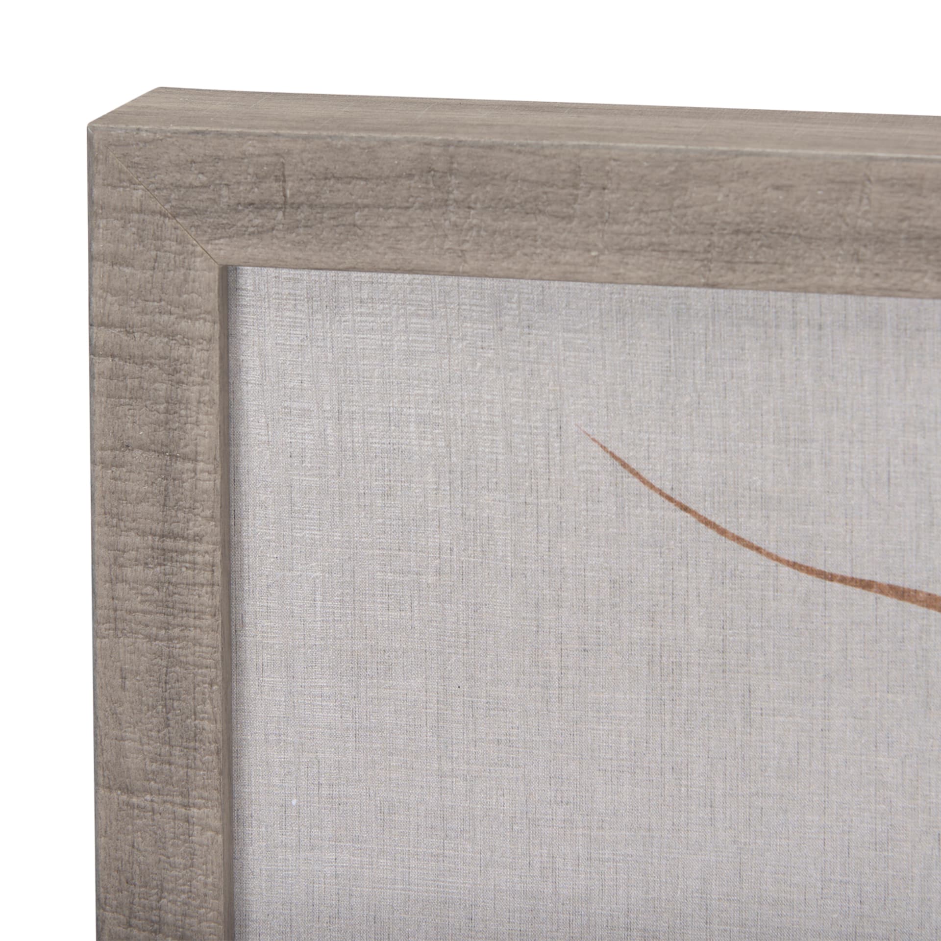 Moth I by Mercana Studio a Hand Embellished Textured Framed Art Print — product photograph