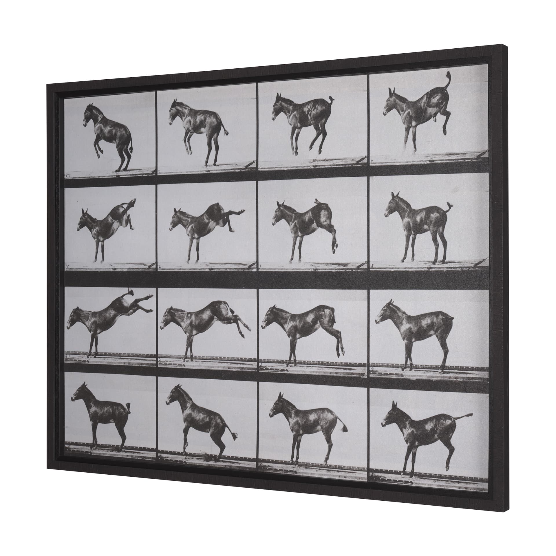 Bucking and Kicking by Eadweard Muybridge Hand Embellished Framed Art Print Matted under Glass — product photograph