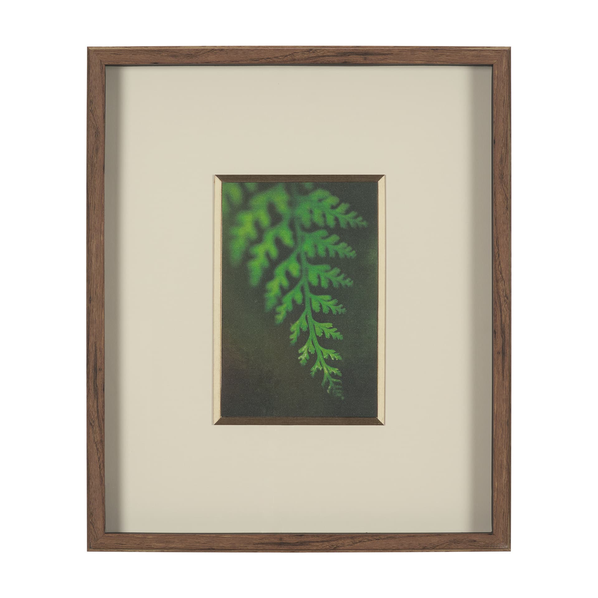 Leaf Charm by Michael Banks a Hand Embellished Framed Photo Art Print Matted under Glass — product photograph