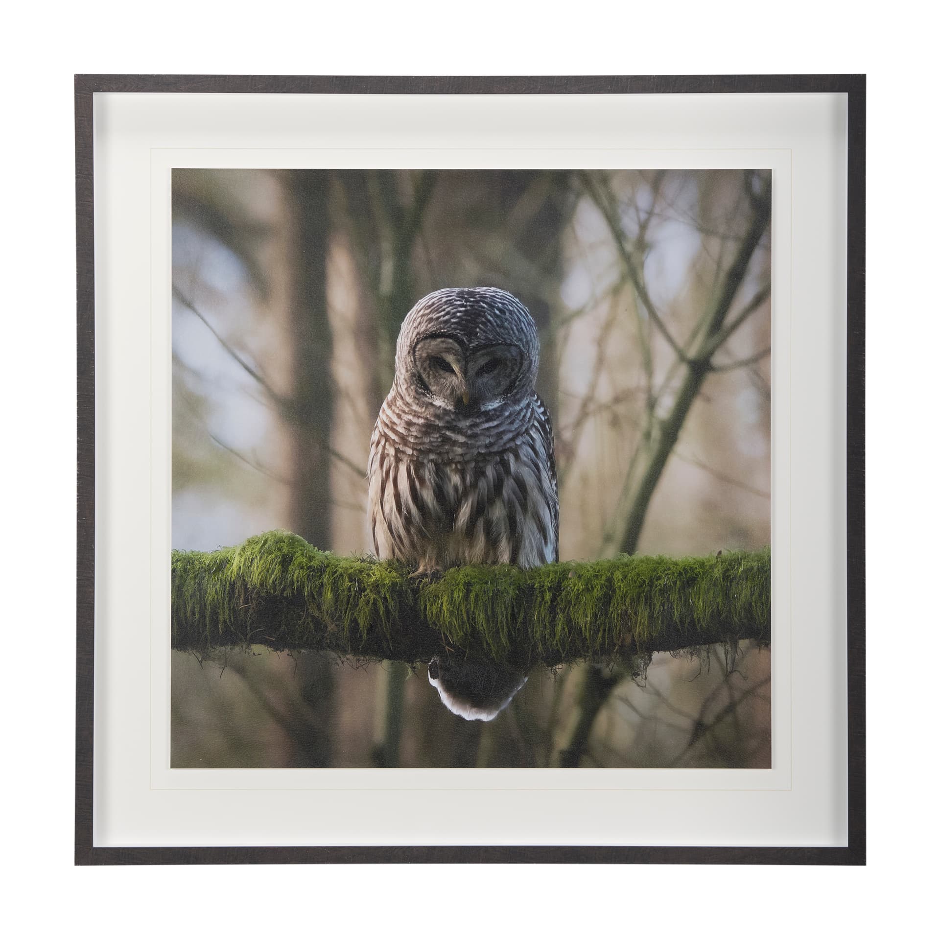 Forest Owl by Chad Mackay a Hand Embellished Textured Framed Photo Art Print Matted under Glass — product photograph