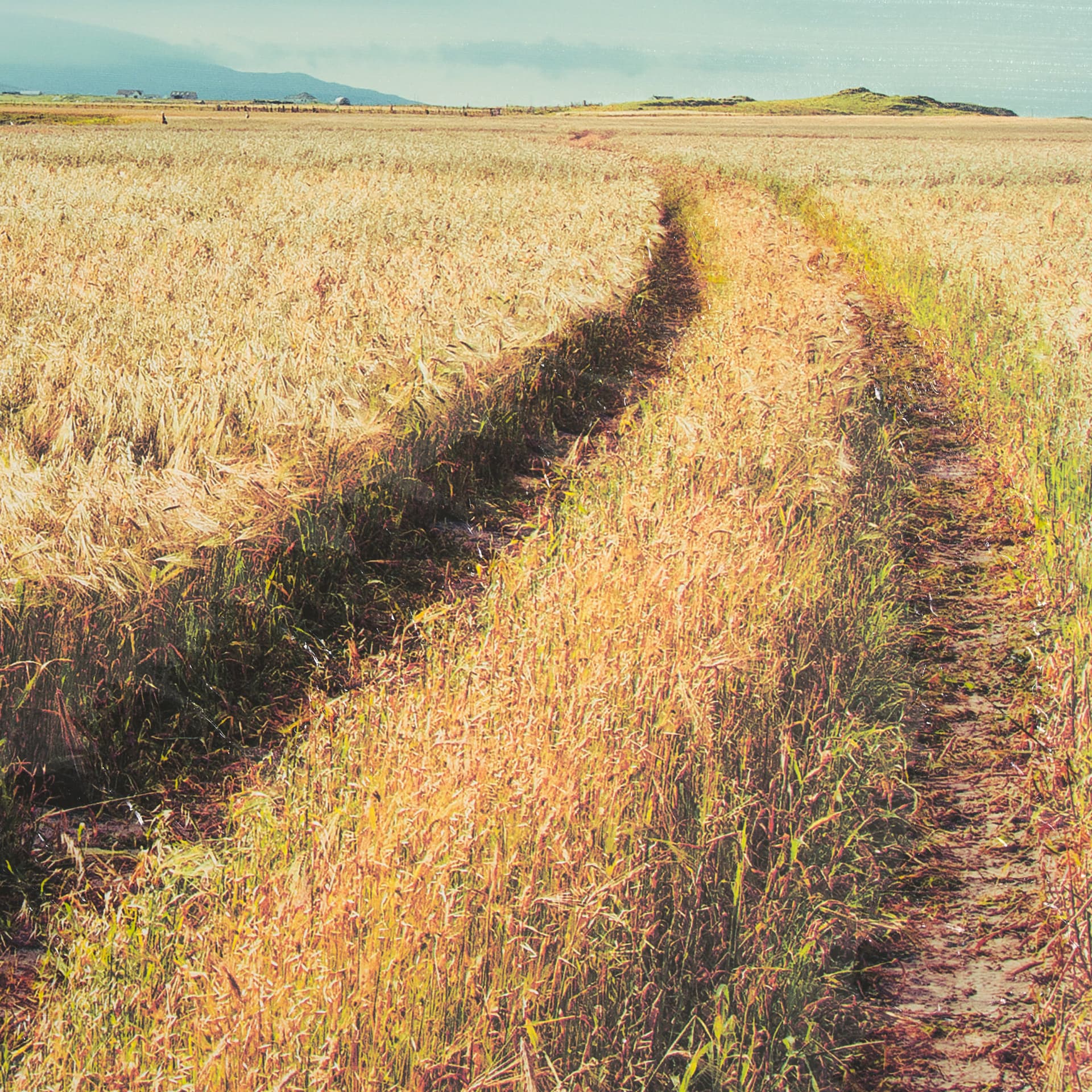 Between The Fields by Matt Roseveare a Hand Embellished Textured Framed Photo Art Print Matted under — product photograph