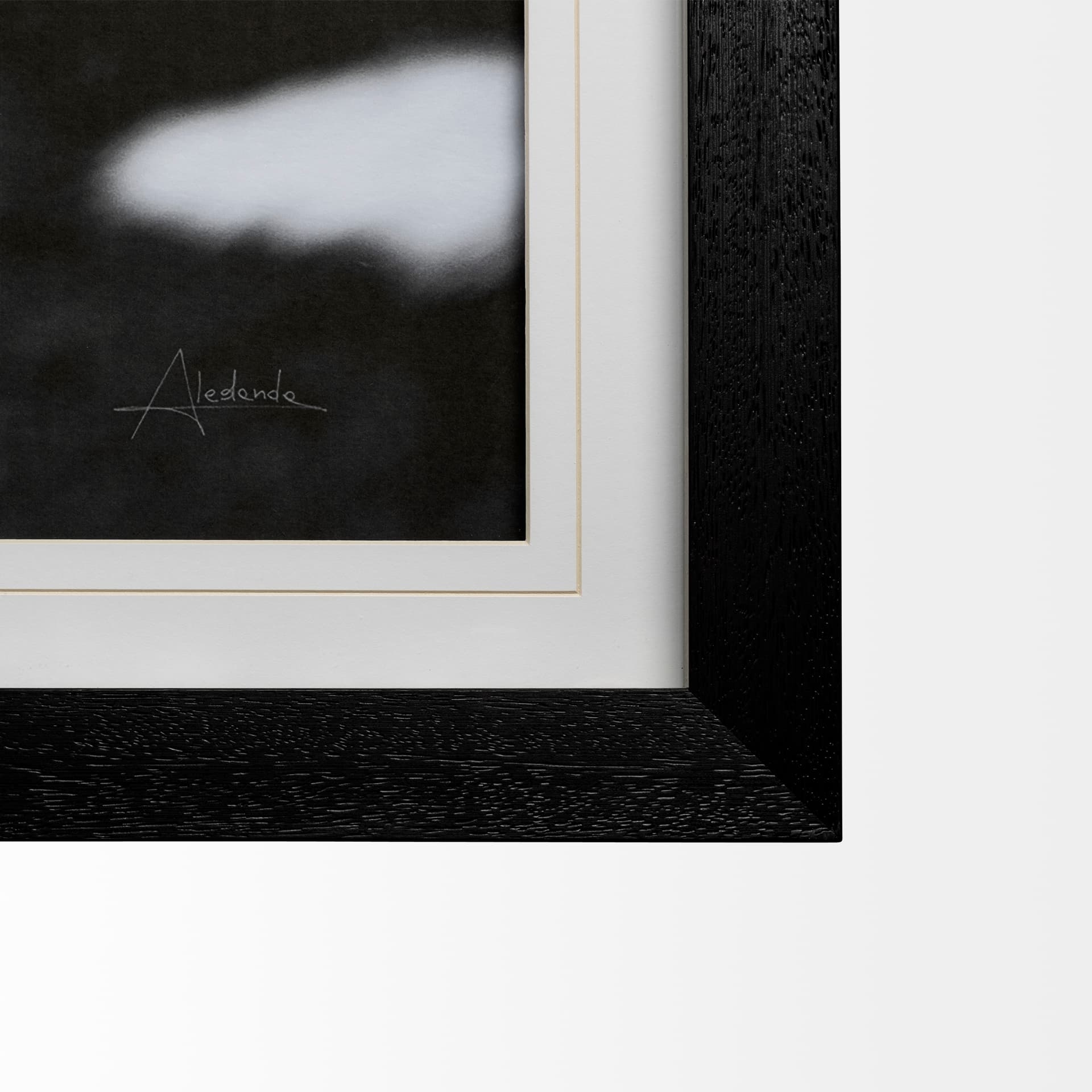 Flirt by Aledanda a Framed Photo Art Print Matted under Glass — product photograph