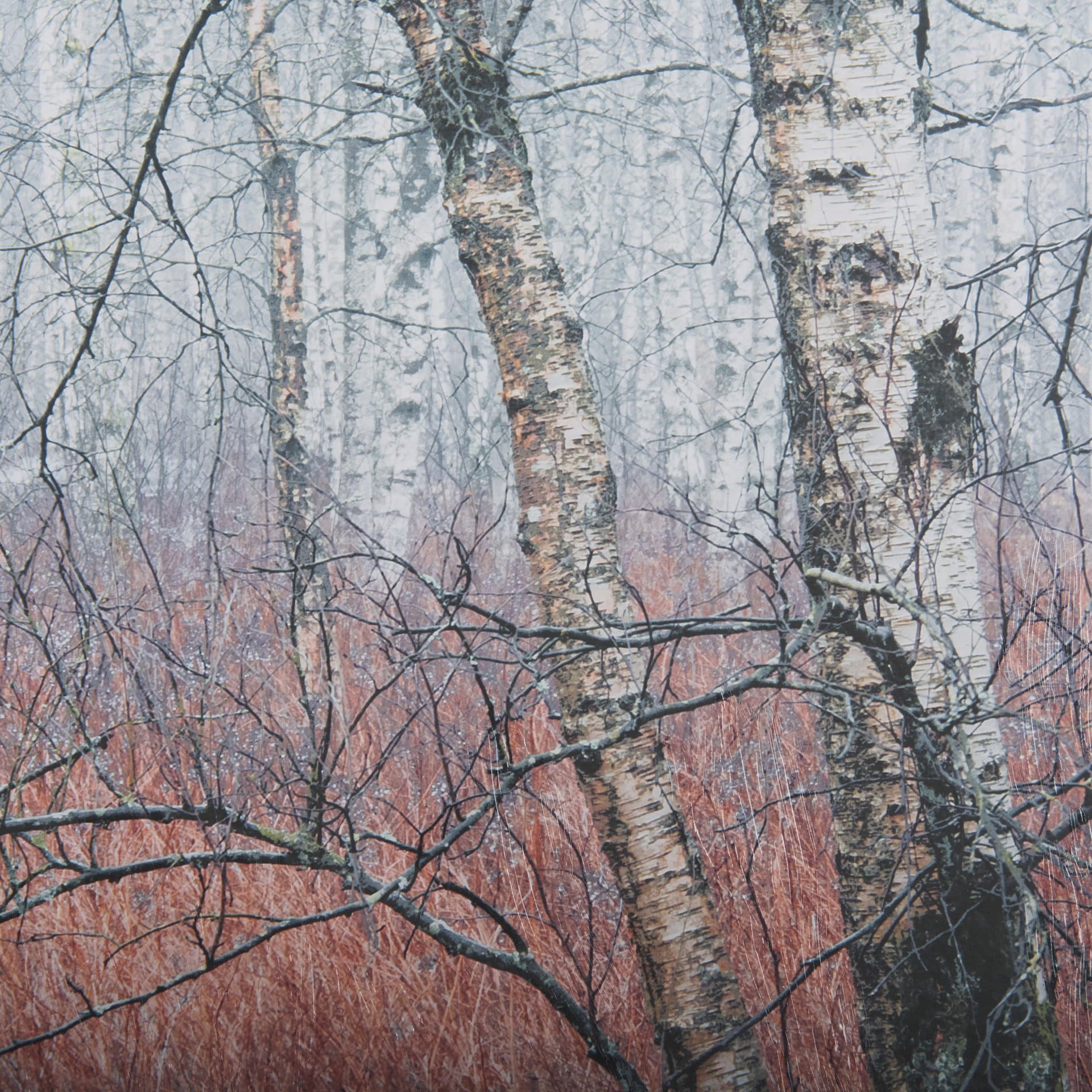 Woddlland pastels by Mercana Studio a Hand Embellished Textured Framed Photo Art Print Matted under — product photograph