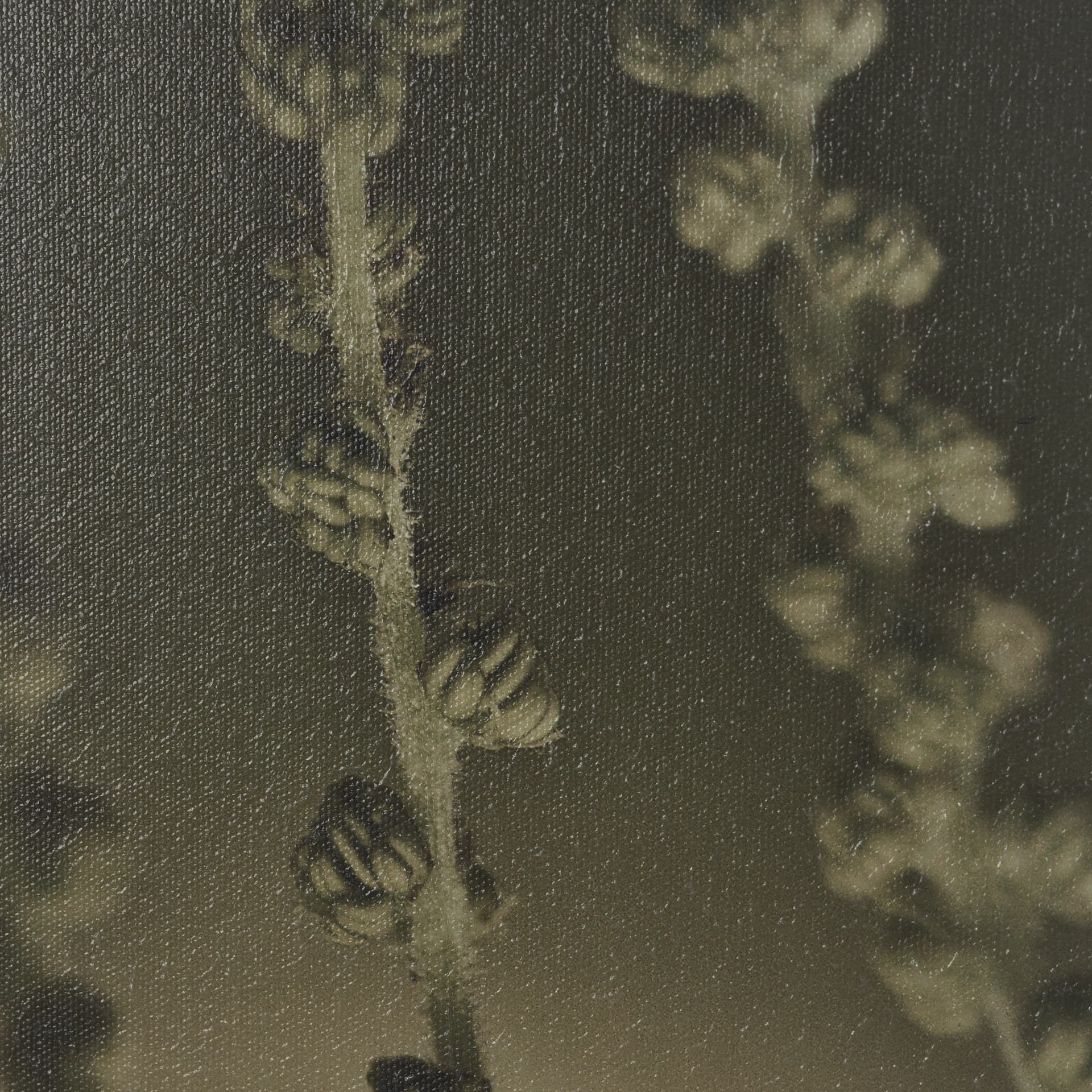 Hanging Delight by Michael Banks a Hand Embellished Framed Photo Art Print Matted under Glass — product photograph