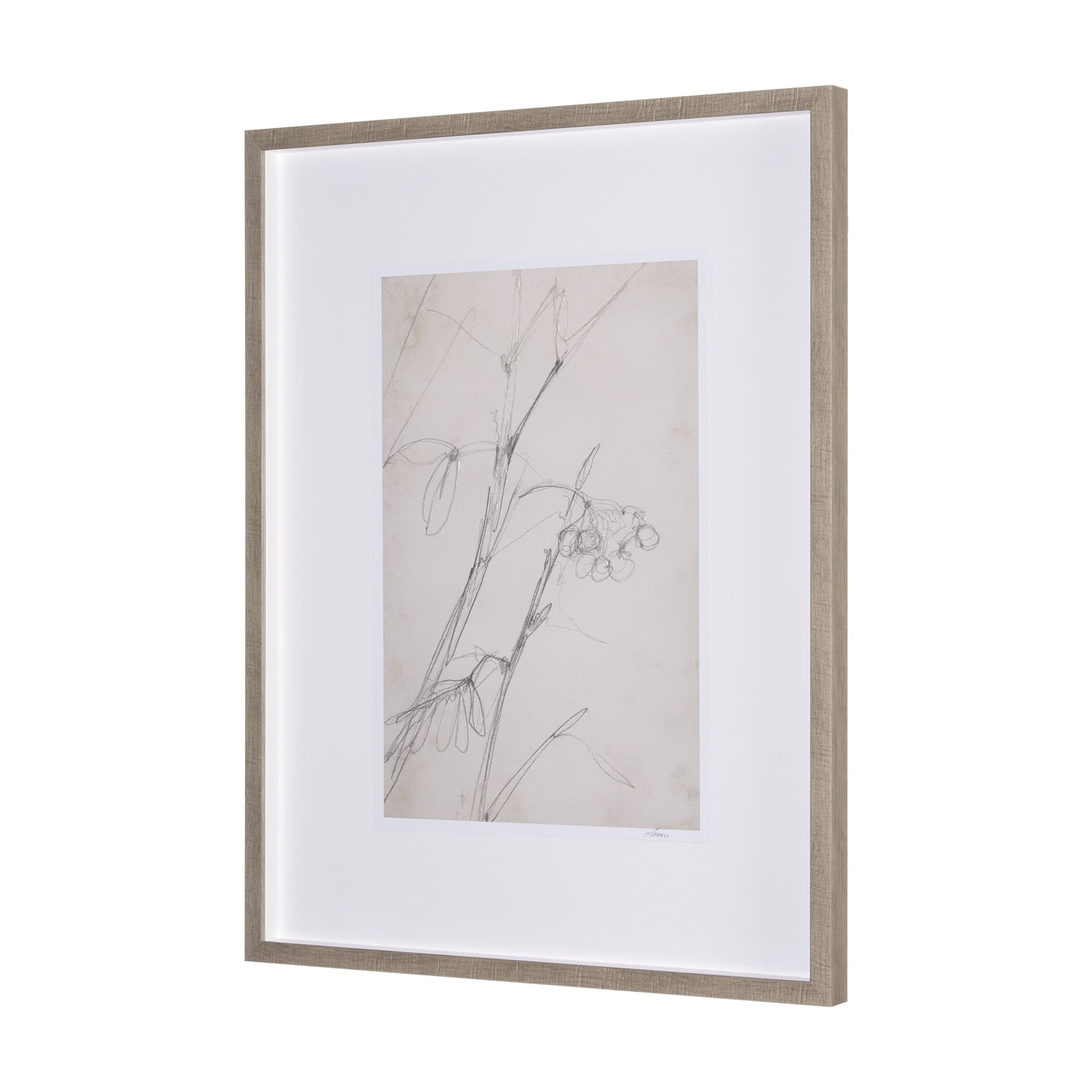 Chokecherry 1 by Mercana Studio a Hand Embellished Framed Art Print Matted under Glass — product photograph