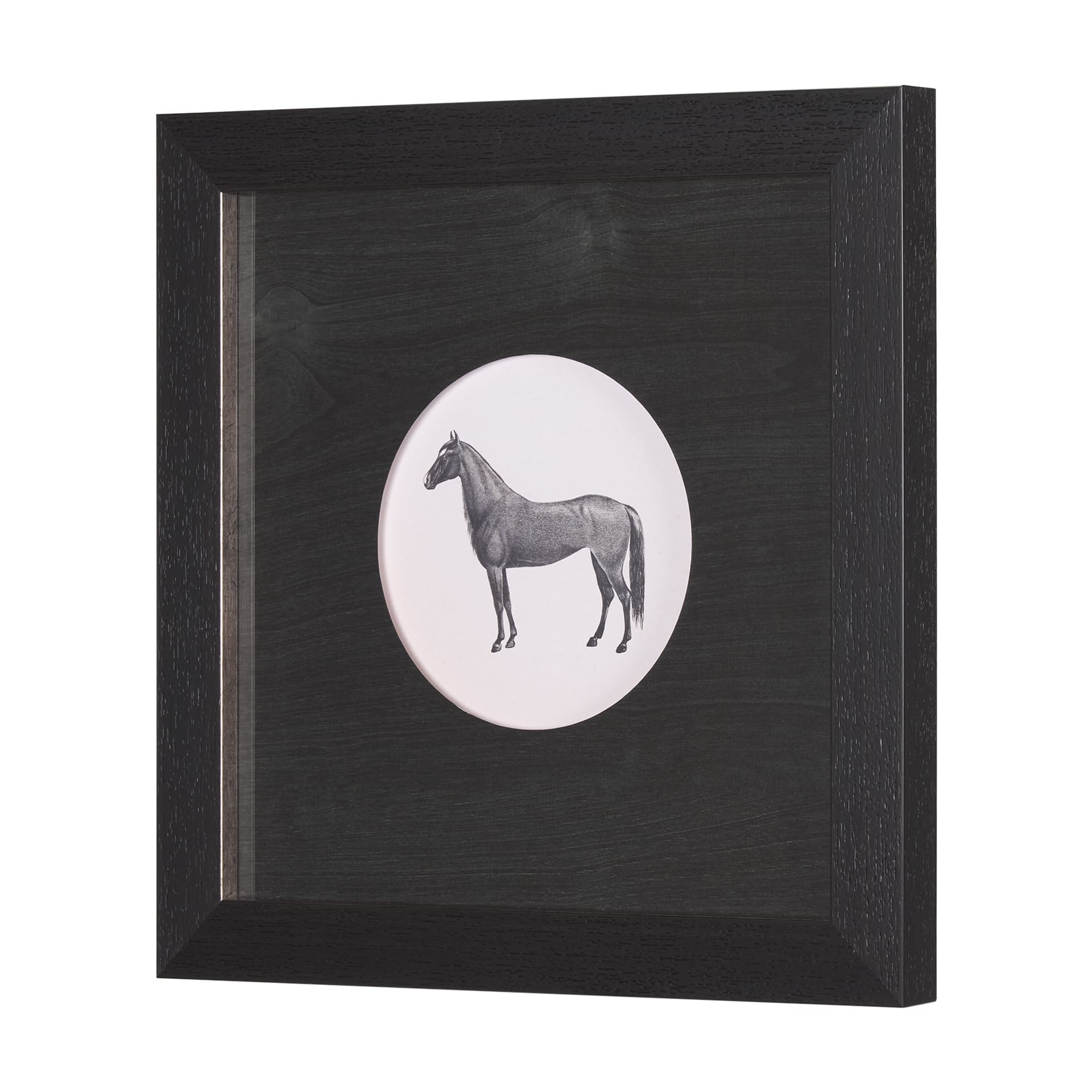 Down On The Farm IV by Wild Apple Portfolio a Framed Art Print Matted under Glass — product photograph