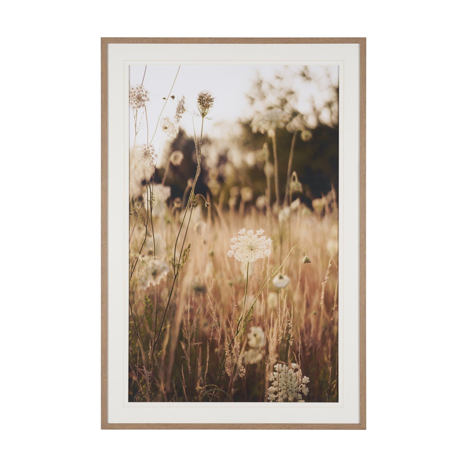 Wild Carrot Flowers by Zaira Zarotti Textured Framed Photo Print Matted under Glass — product photograph