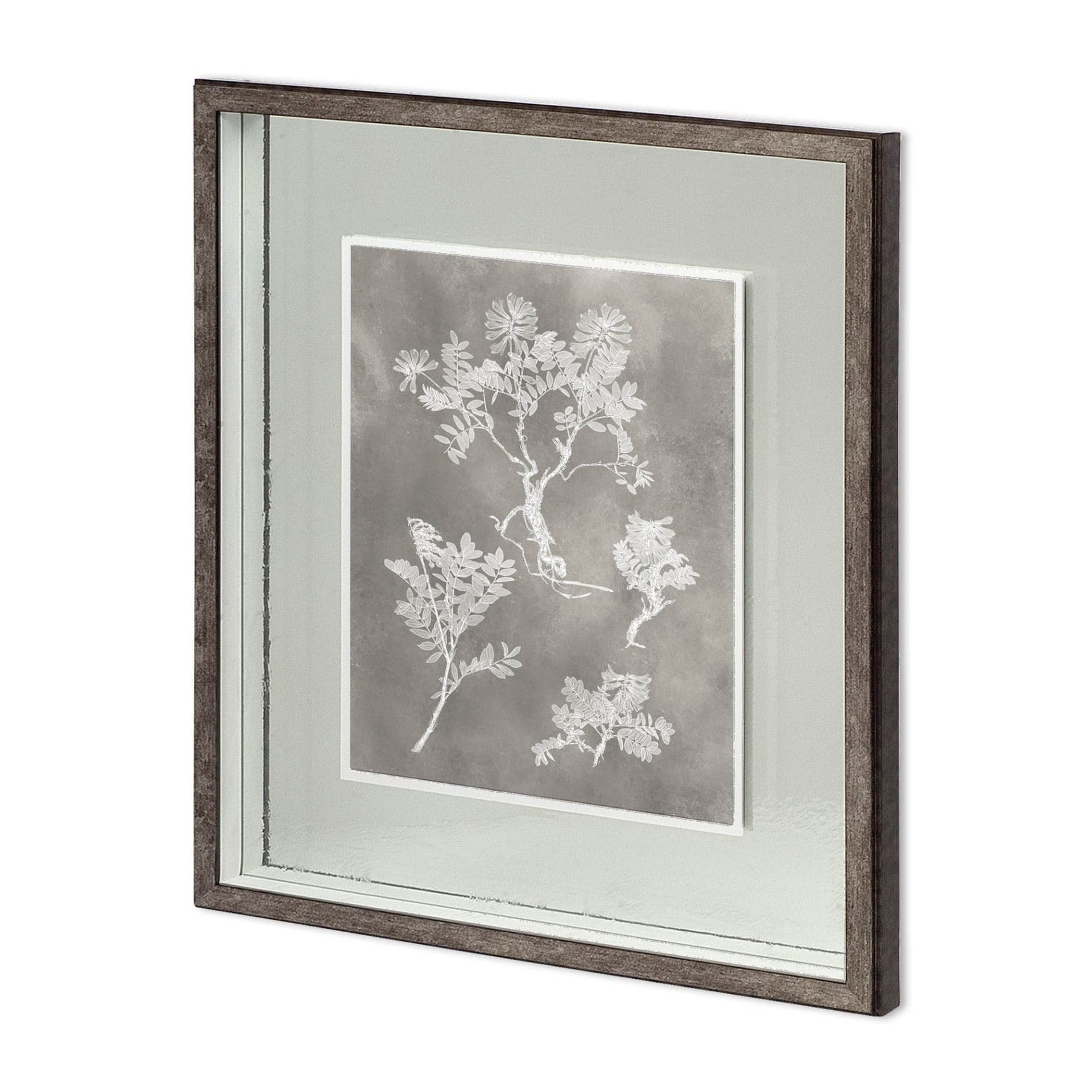 Custom Herbarium Study II by Vision Studio Hand Embellished Framed Art Print Matted under Glass — product photograph