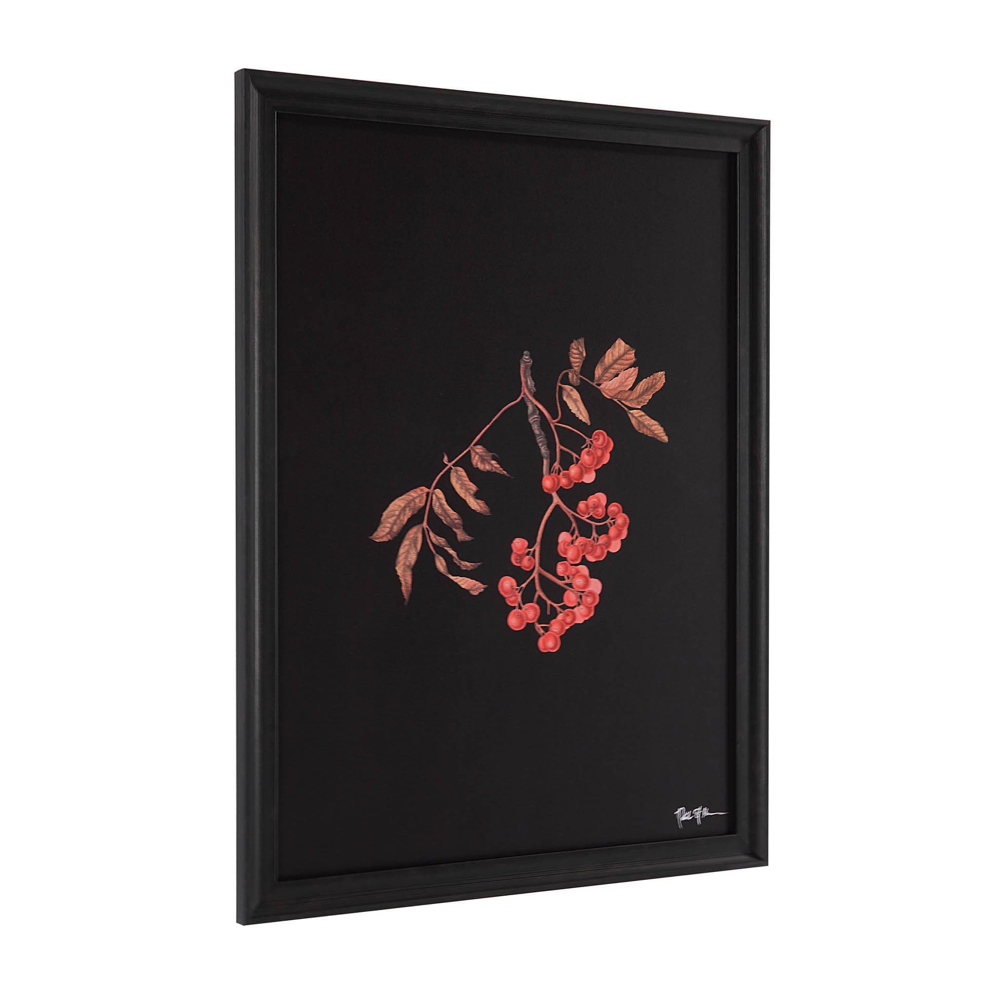 Wallflower — product photograph