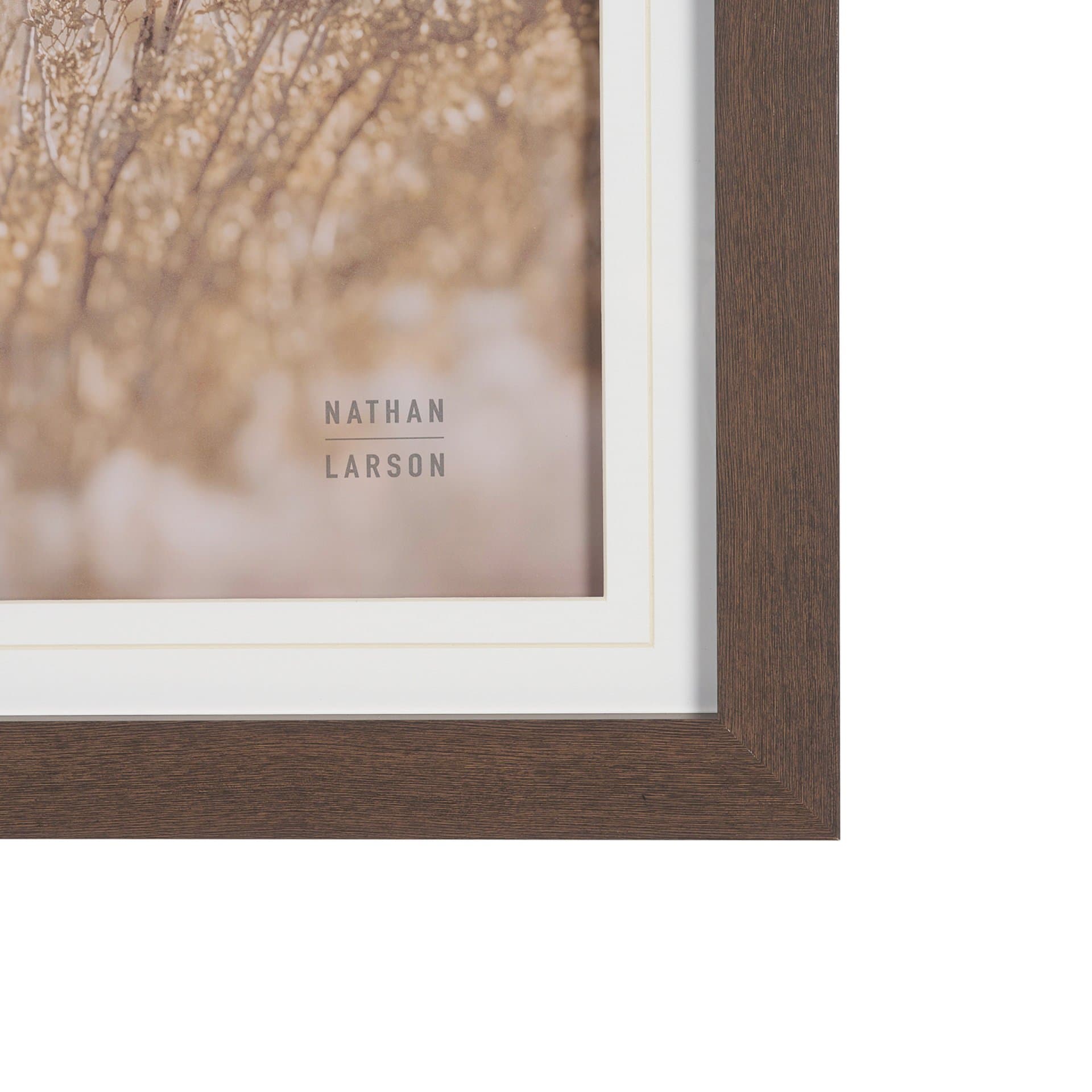 Big Bend National Park by Nathan Larson FramedPhoto Print Matted under Glass — product photograph