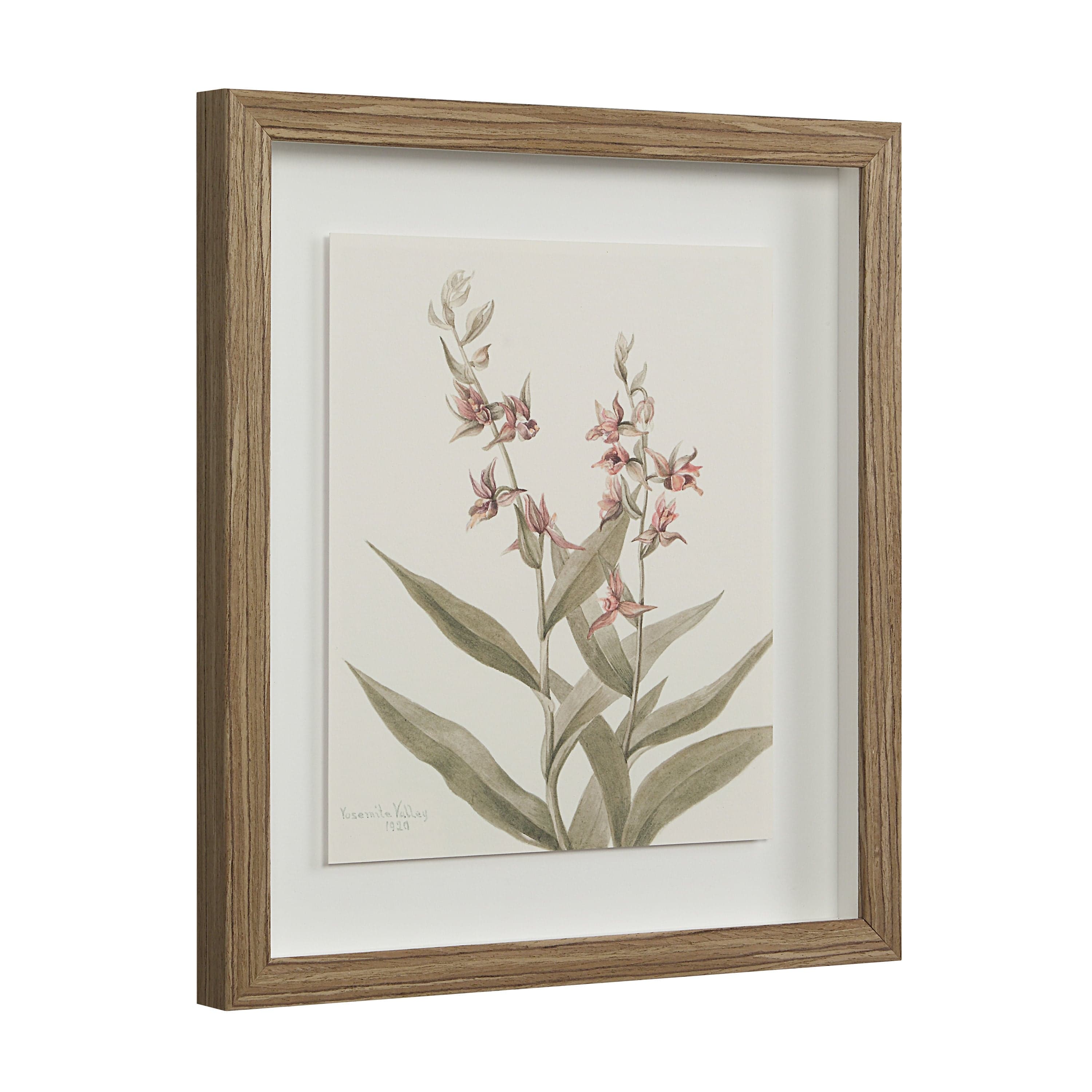 Crema — product photograph