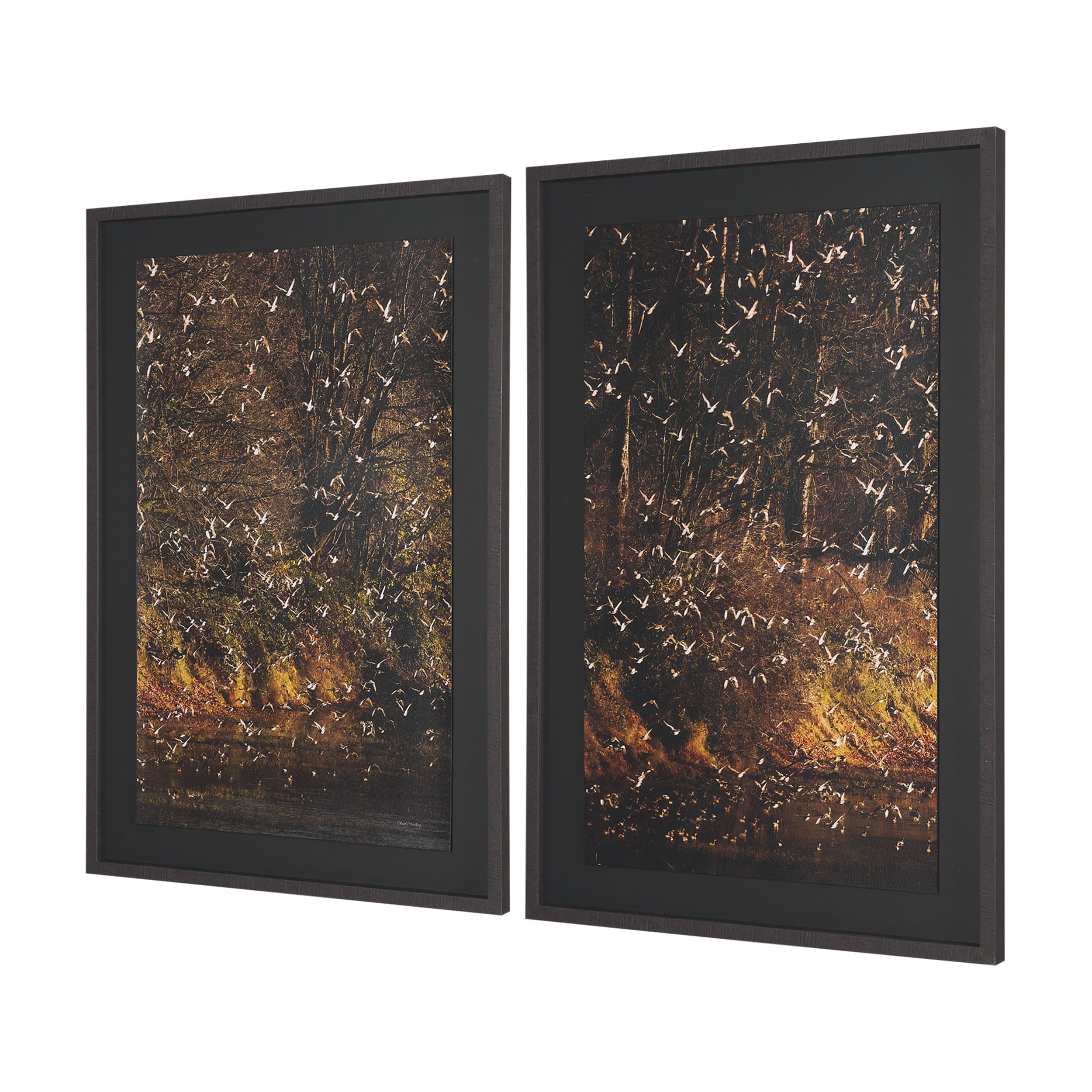 Gilded Flight by Chad Mackay Textured Framed Photo Print Matted under Glass (Set of 2) — product photograph