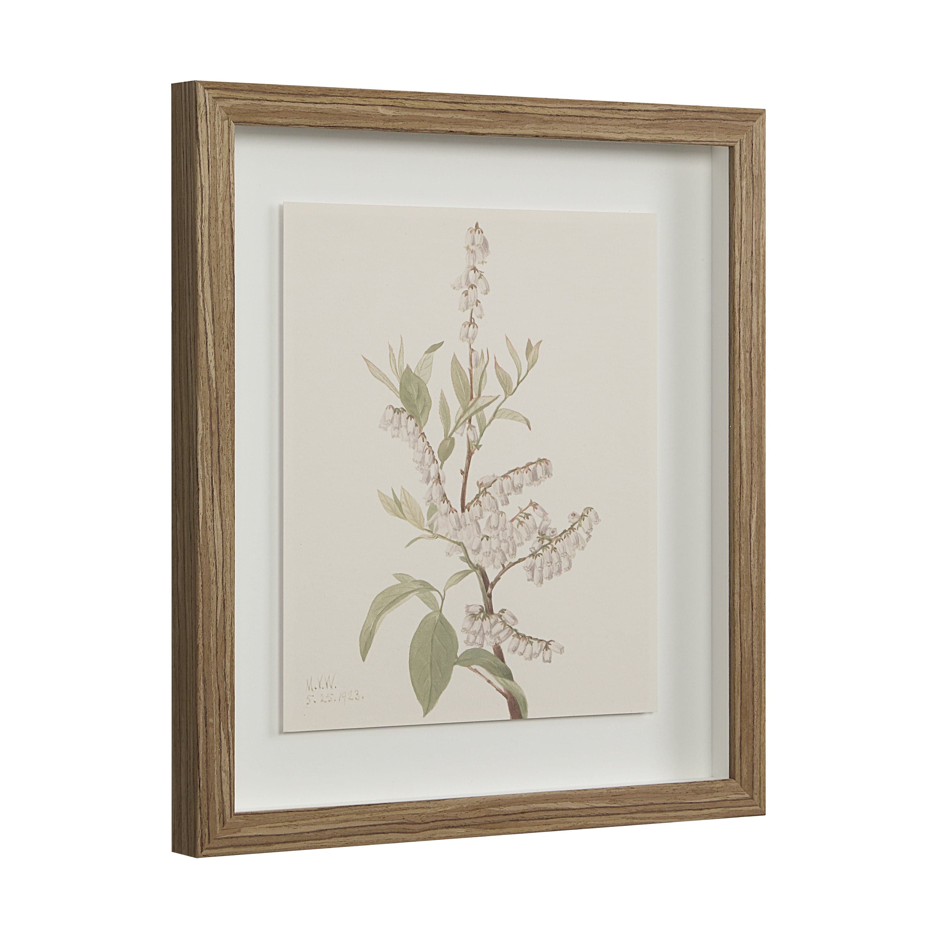 Crema — product photograph