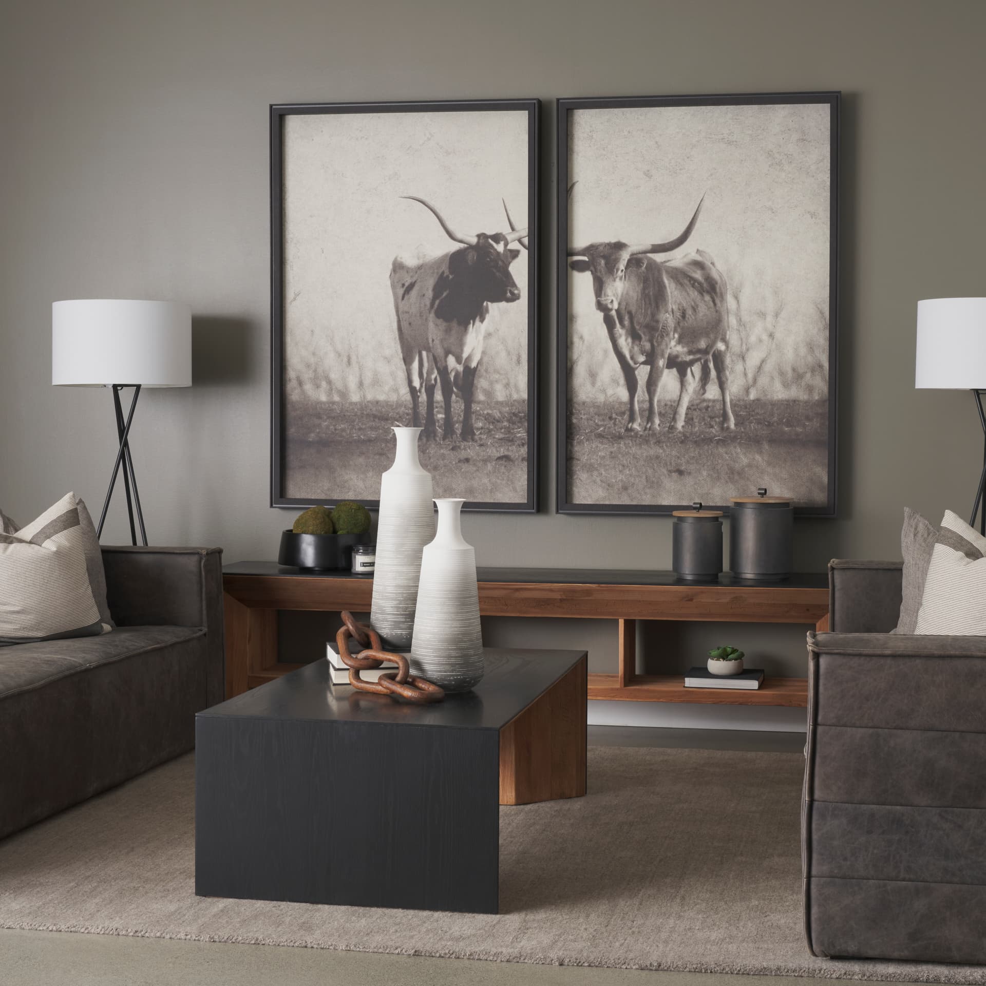 Texas Longhorns (Set of 2) by Debra Van Swearingen a Hand Embellished Framed Art Photograph Print — in a styled room