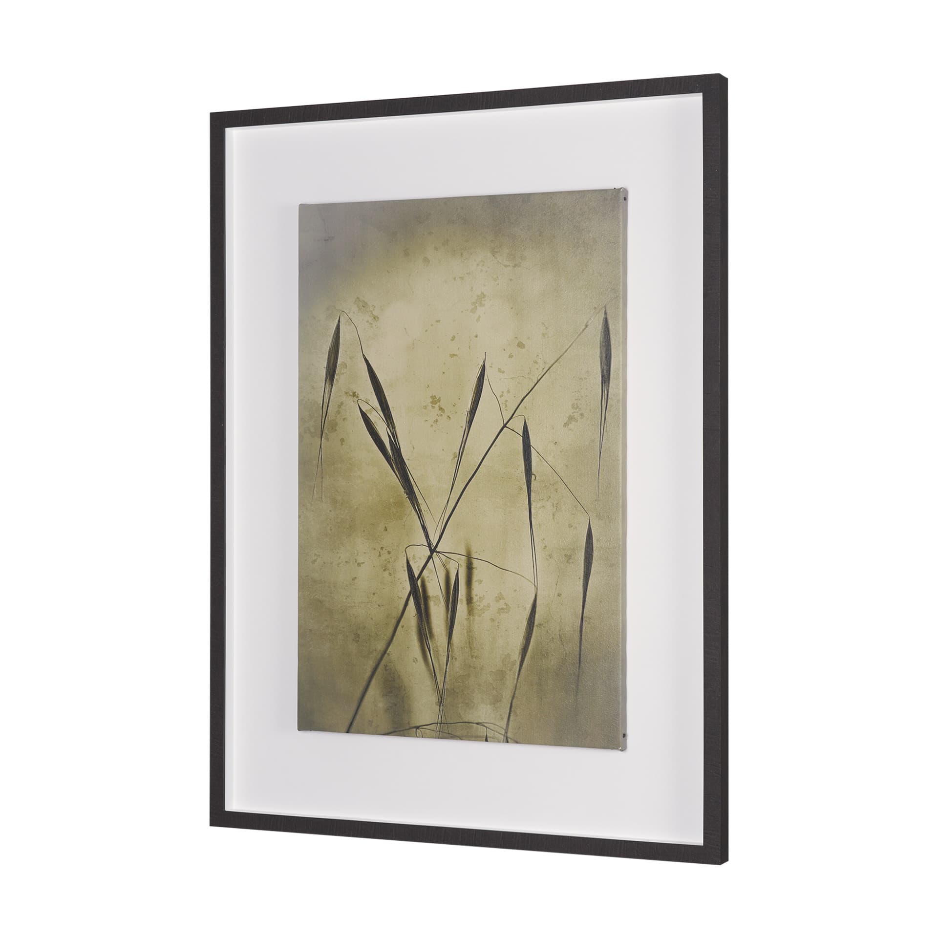 Botany Blades by Michael Banks a Hand Embellished Framed Photo Art Print Matted under Glass — product photograph