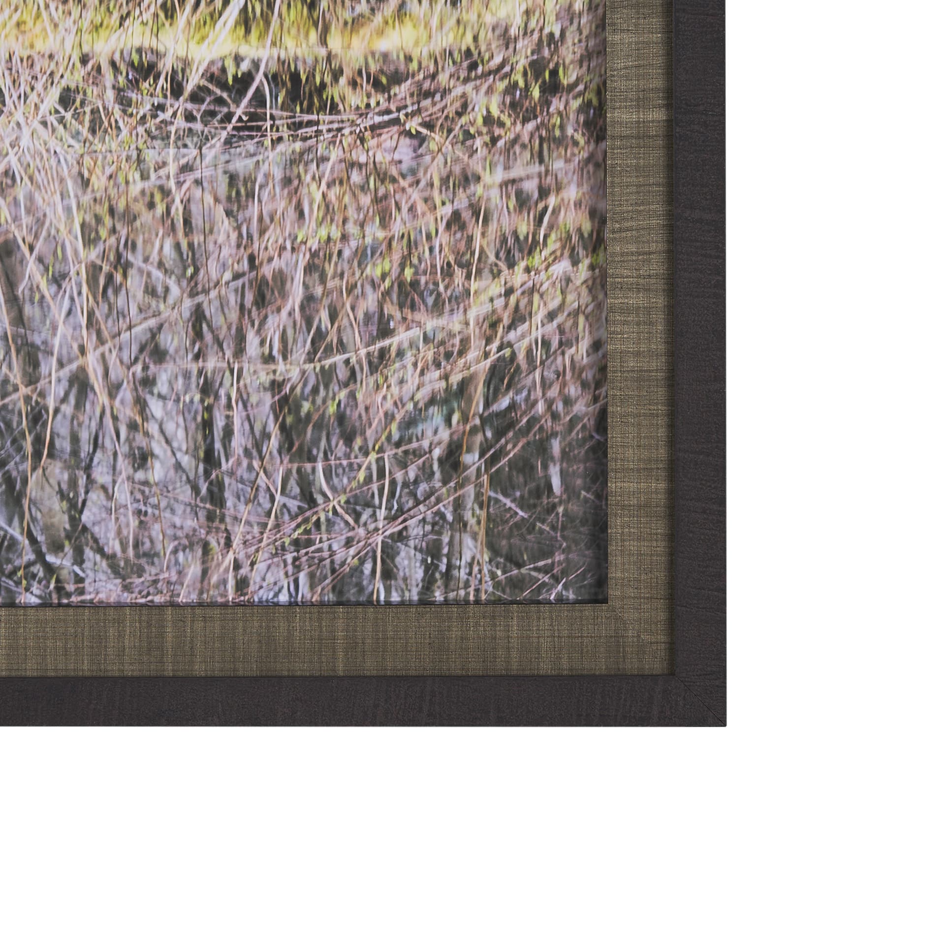 Branchscape Moss - Reflect by Mikael Svensson a Framed Photo Art Print Matted under Glass — product photograph