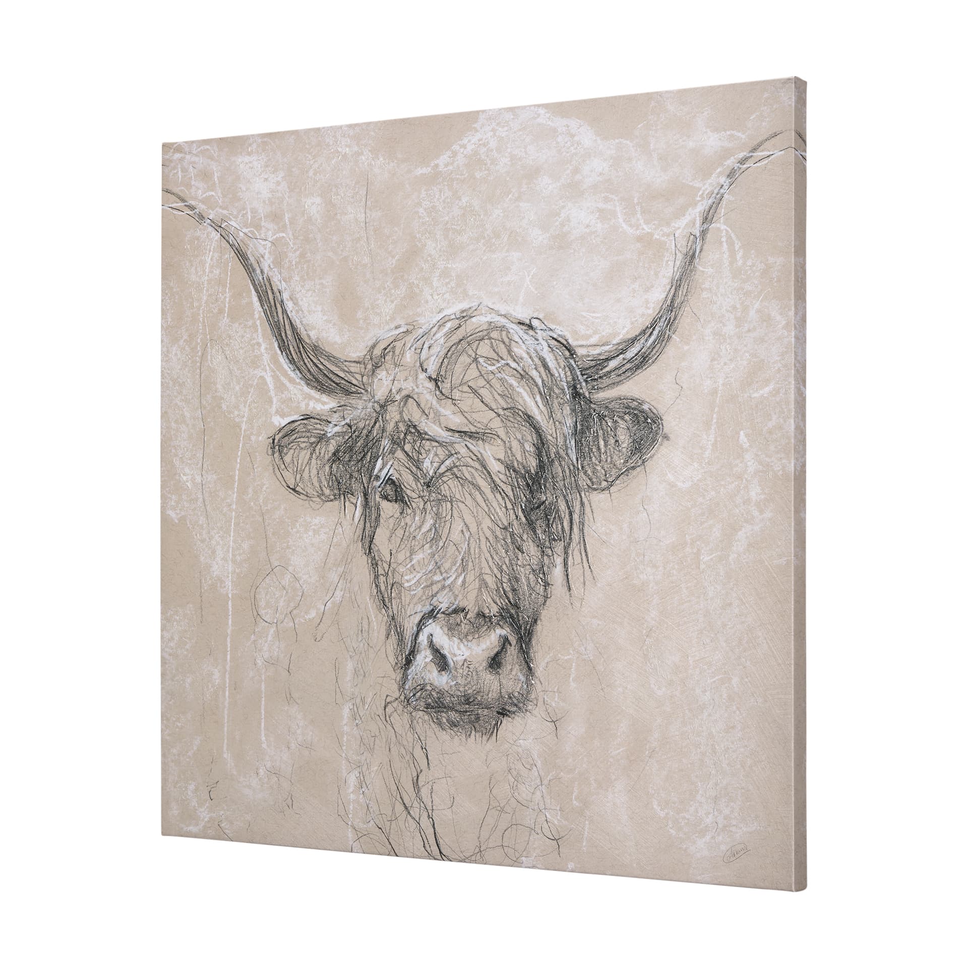 Sketch of animal VIII (Highland bull) by Mercana Studio a Hand Embellished Textured Canvas — product photograph