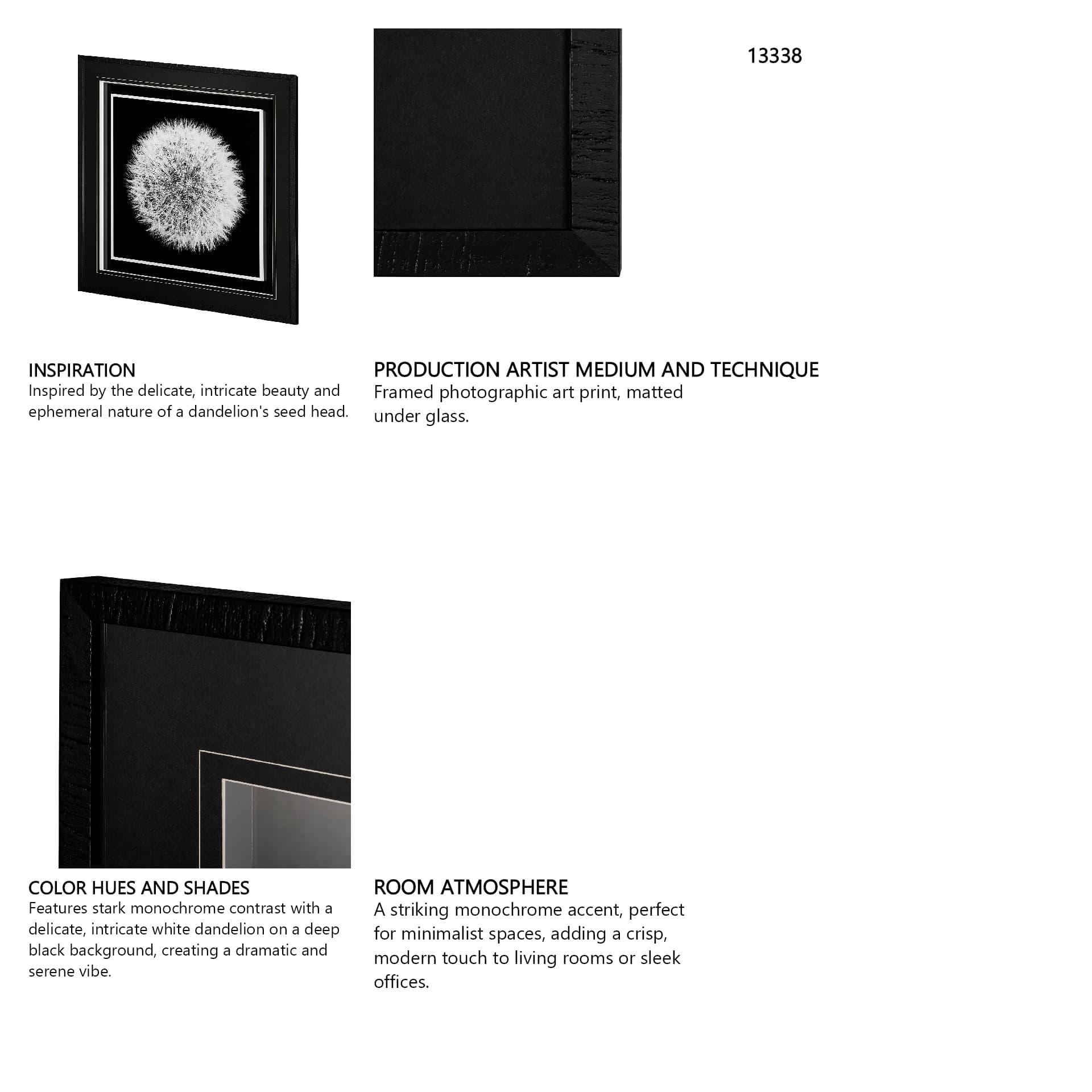 Dandelion on Black I by Aledanda a Framed Photo Art Print Matted under Glass — in a styled room