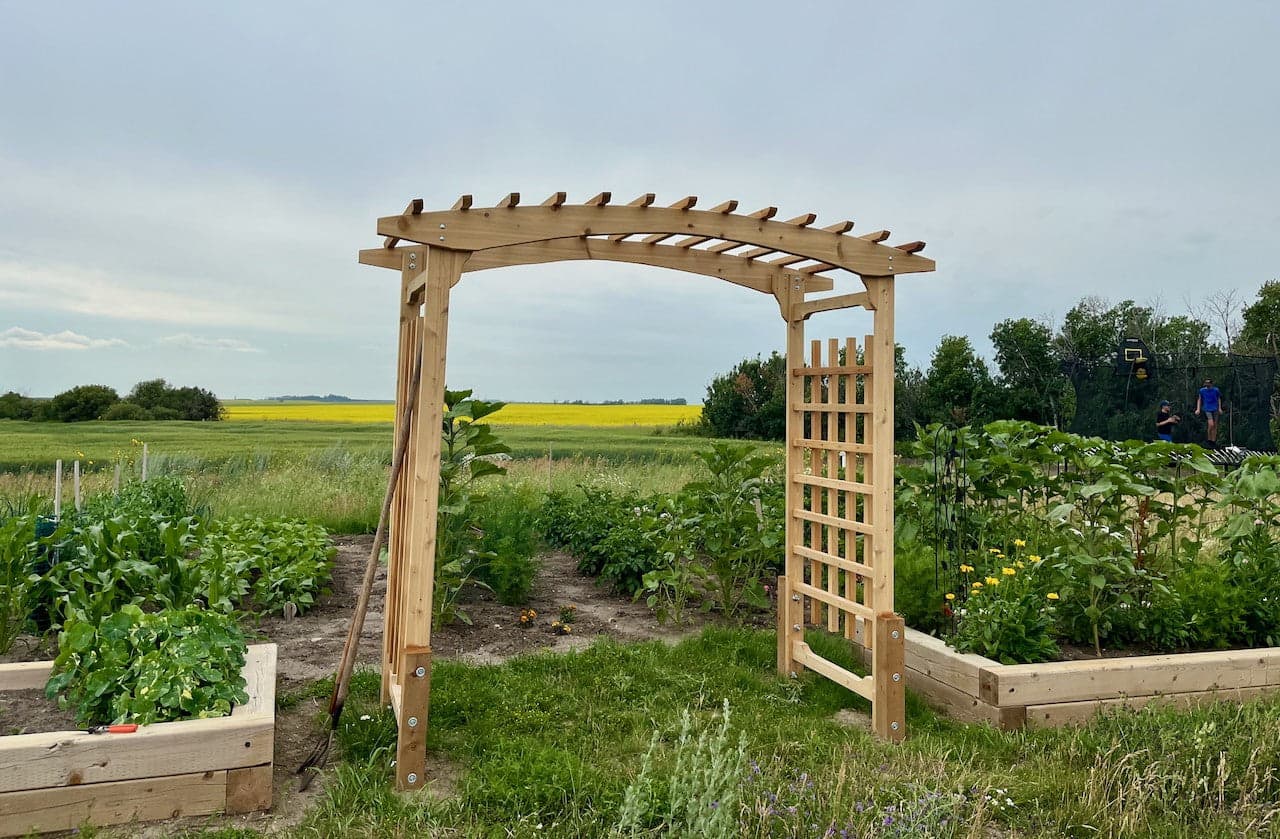 8-Ft Cedar Garden Wedding Arbor — product photograph