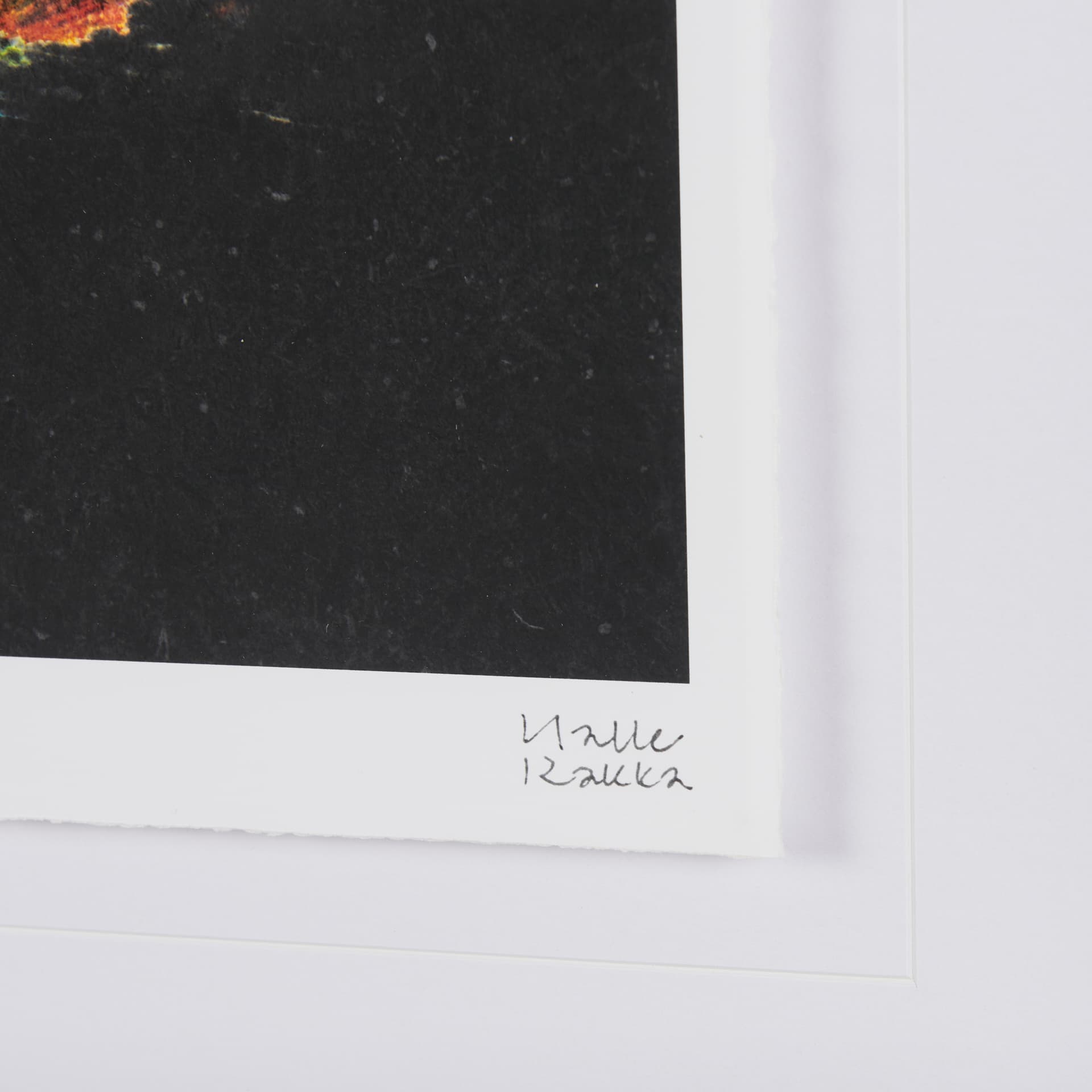 Midnight Flower I by Mercana Studio a Framed Art Print Matted under Glass — product photograph