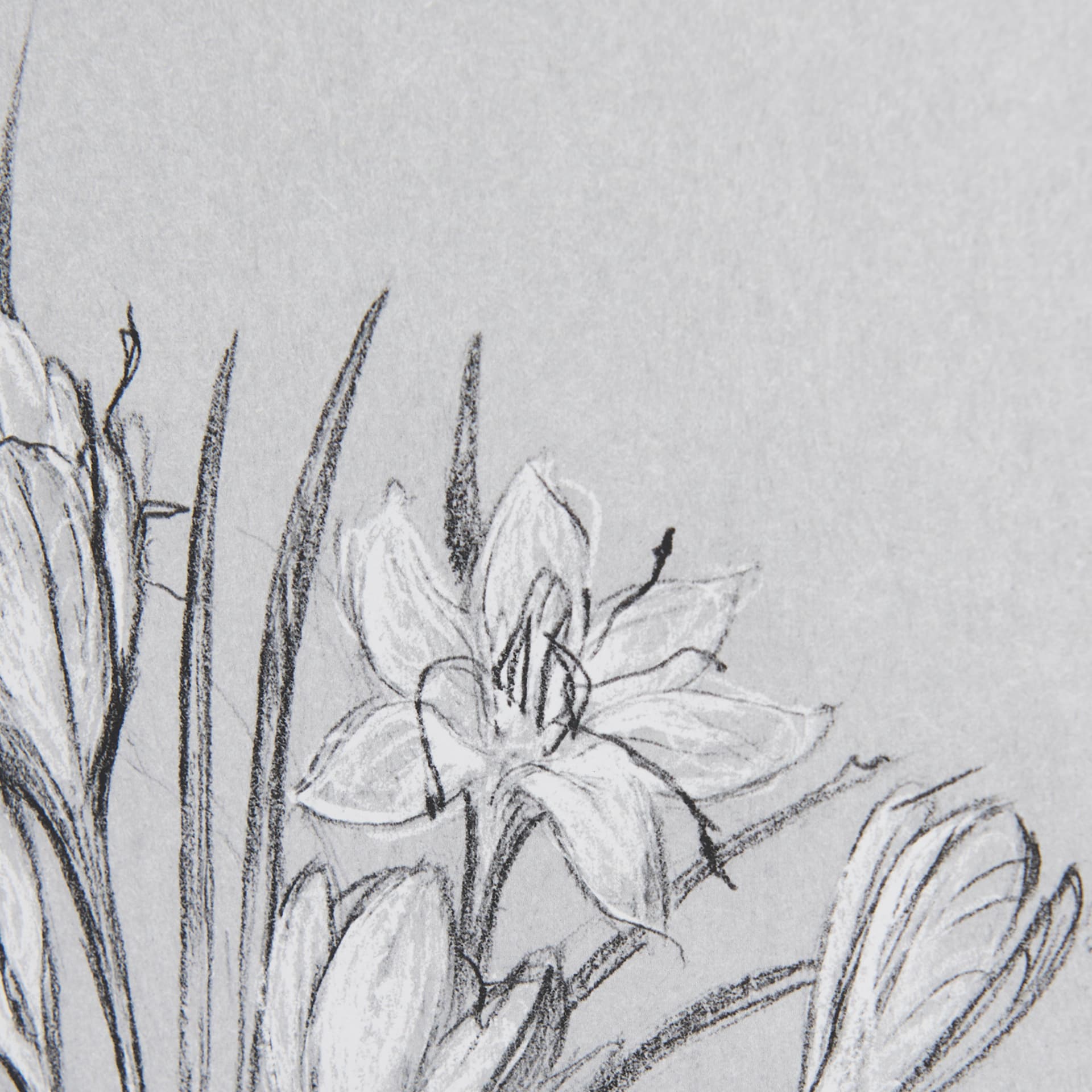 Botanical sketches V (Grey) by Mercana Studio Hand Embellished Framed Art Print Matted under Glass — product photograph