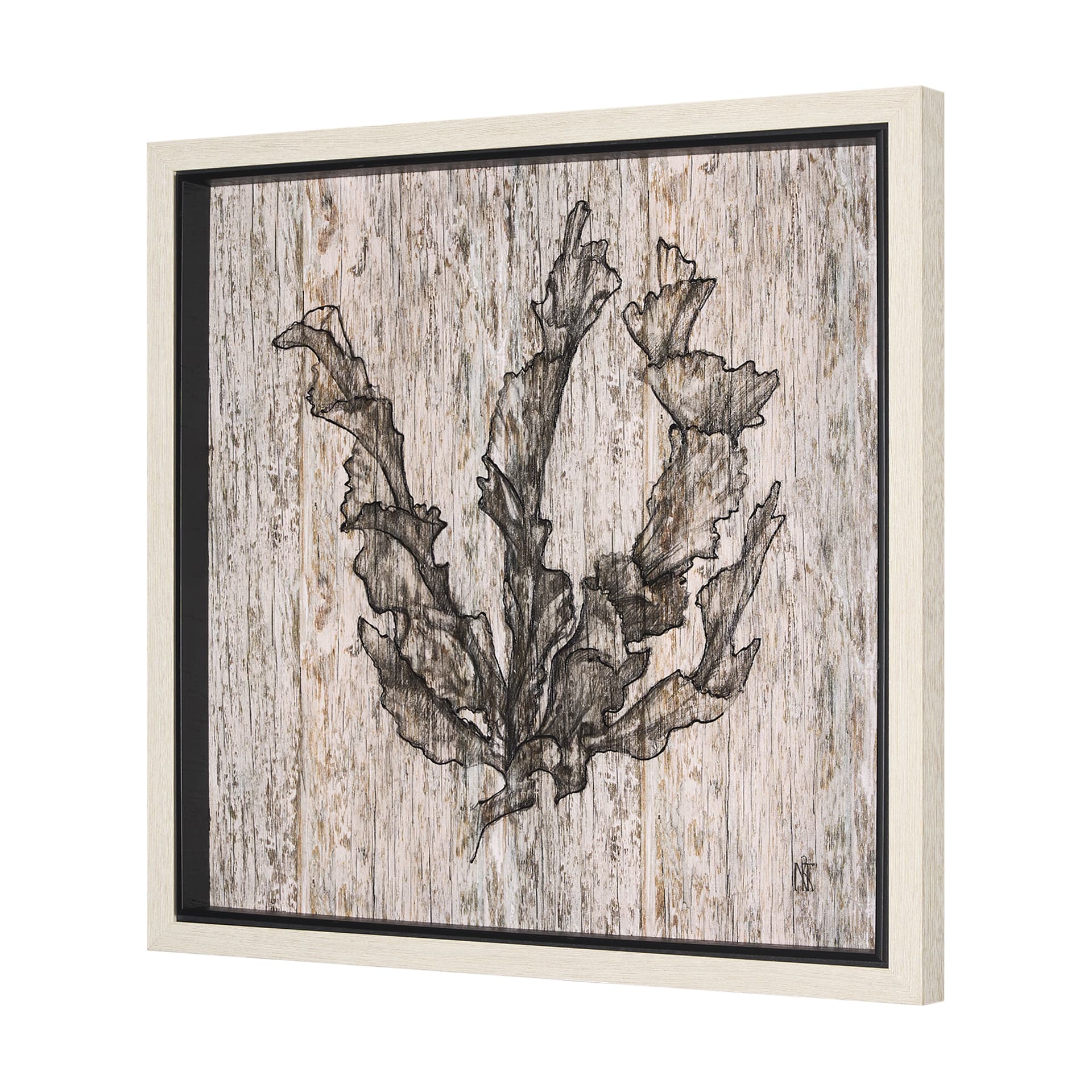 Wood Grain Sea Plant I by Mercana Studio a Hand Embellished Textured Framed Art Print — product photograph