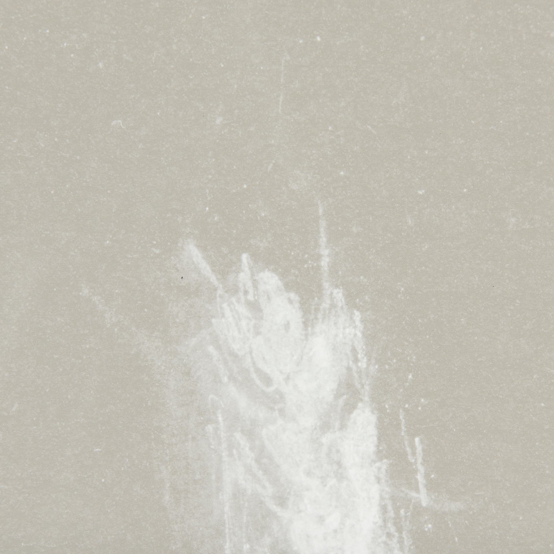 Growing Along The River III by Mercana Studio Framed Matted under Glass — product photograph