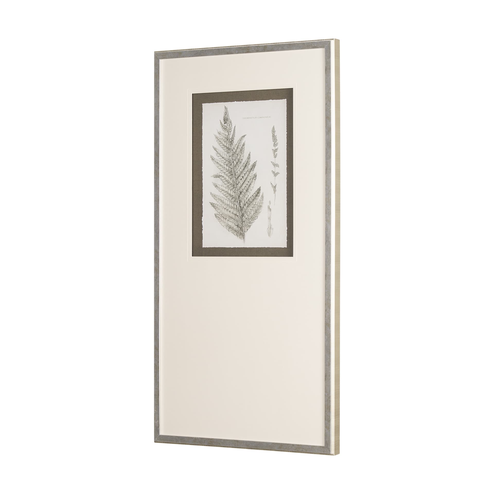 Fern Study I by Mercana Studio Hand Embelished Framed Art Print Matted under Glass — product photograph