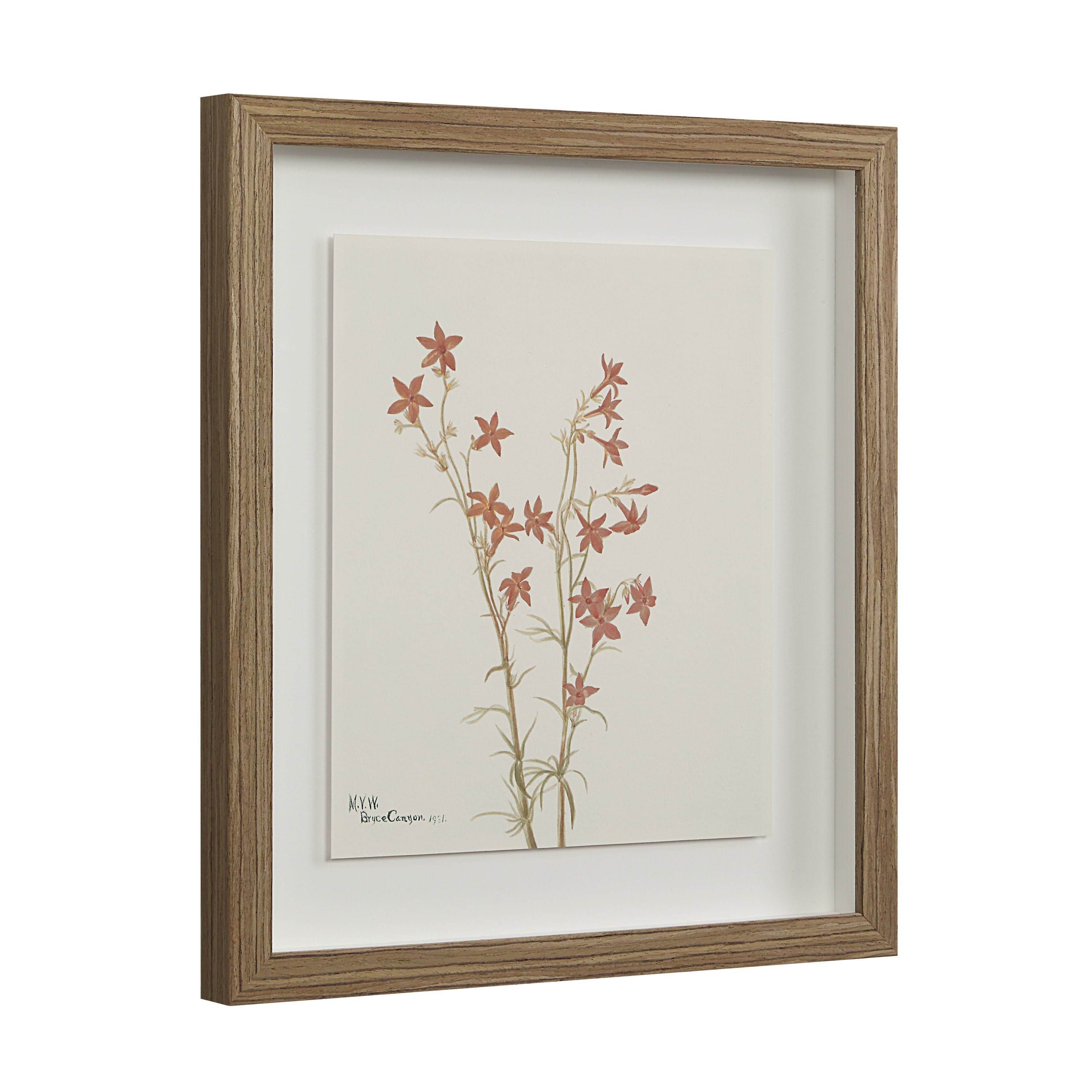 Crema — product photograph