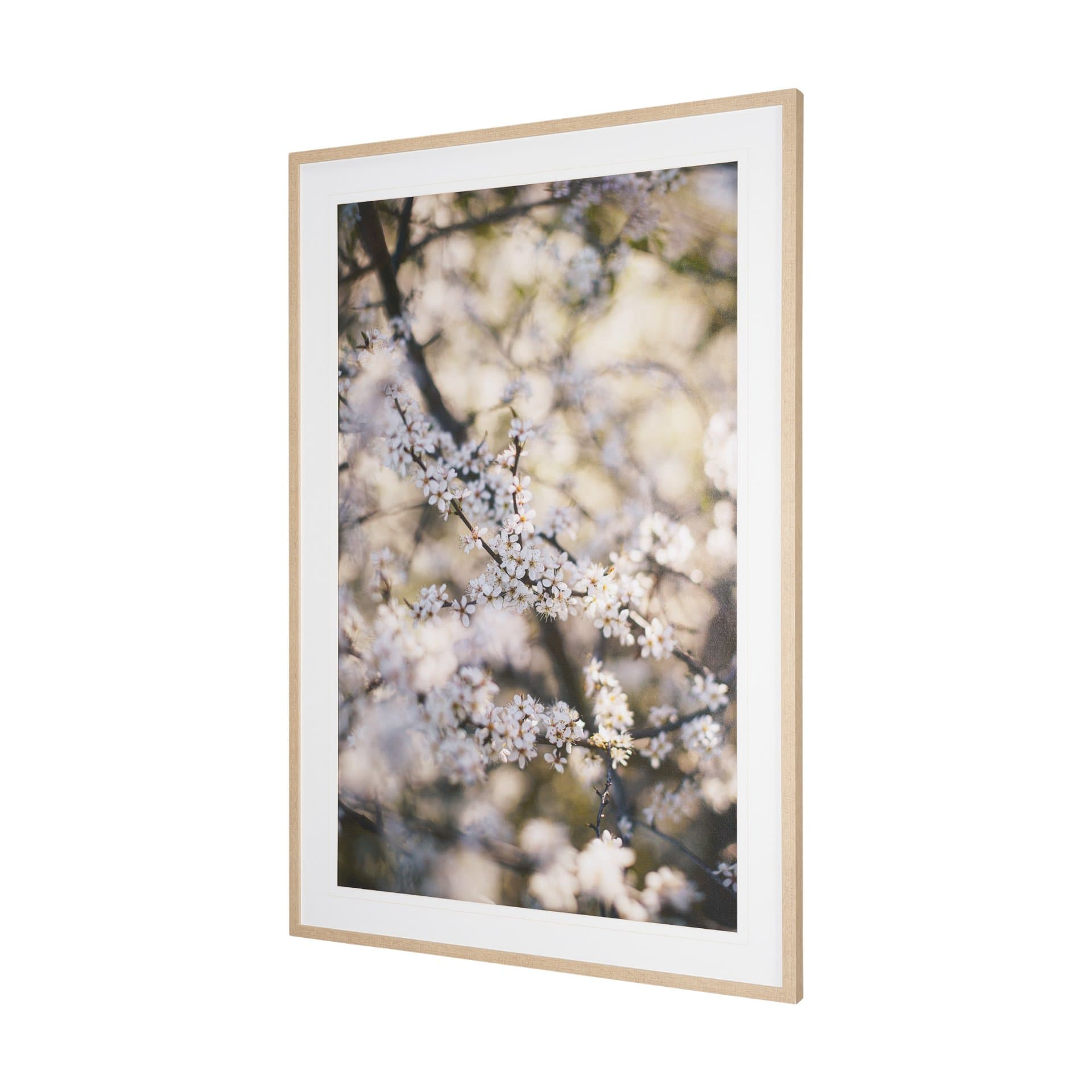 Wilde Prunus by Zaira Zarotti Textured Framed Photo Print Matted under Glass — product photograph