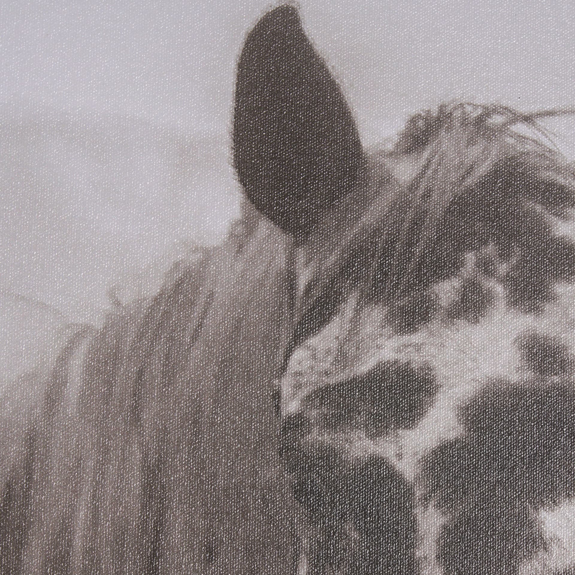 Spotted Solo Horse by Nathan Kane a Hand Embelished Textured Framed Photo Art Print — product photograph