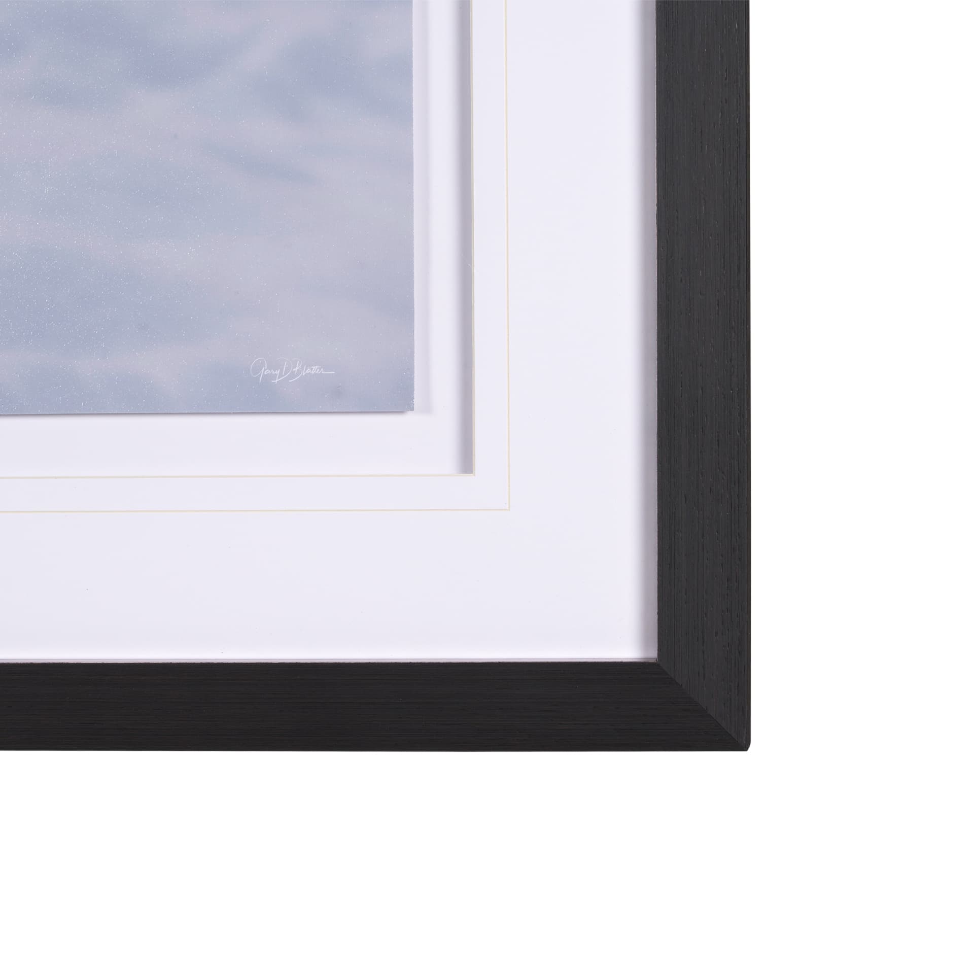 Muskox by Gary Blatter a Hand Embellished Textured Framed Photo Art Print Matted under Glass — product photograph