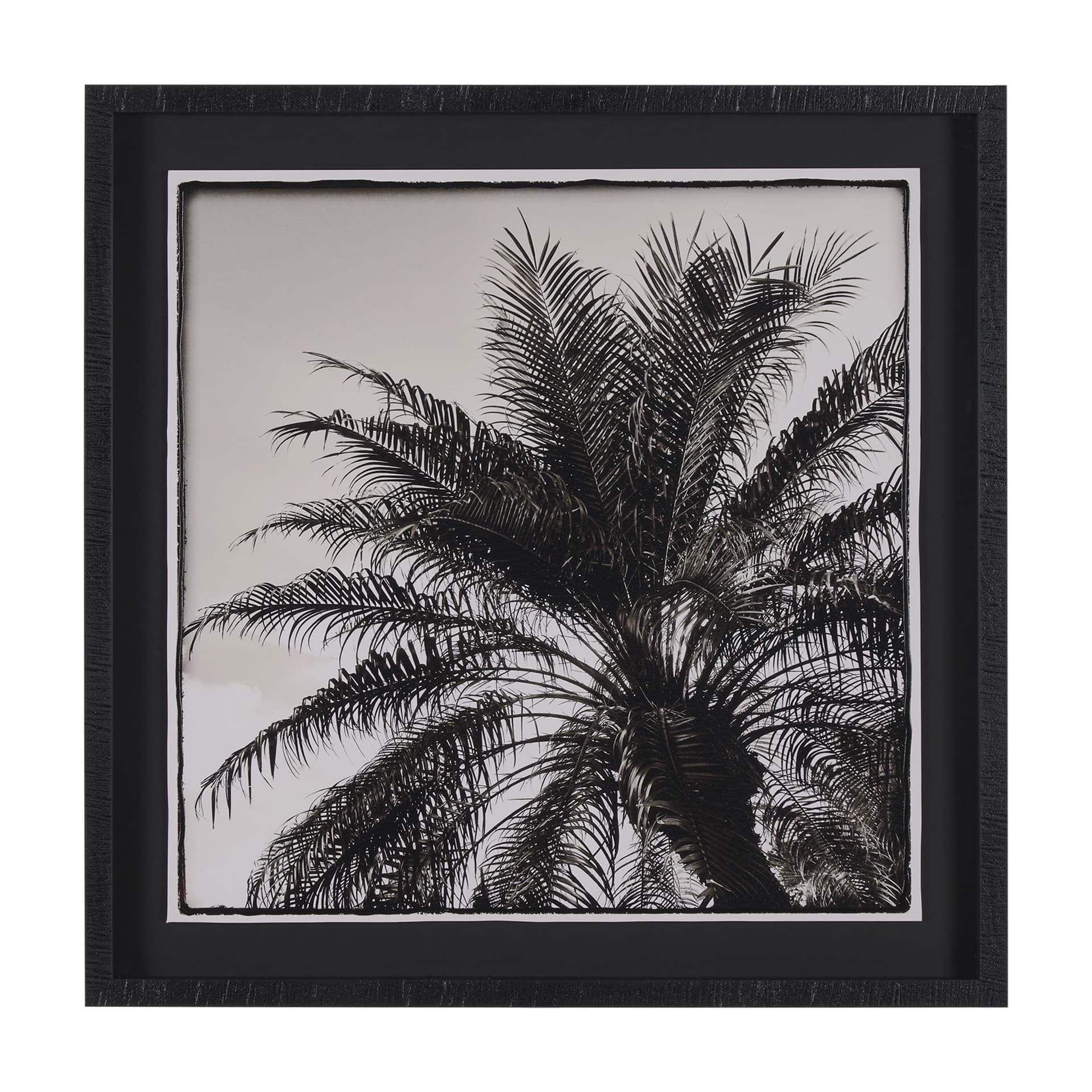 Palm Tree Sepia I by Debra Van Swearingen a Hand Embellished Framed Photo Art Print Matted under Gla — product photograph