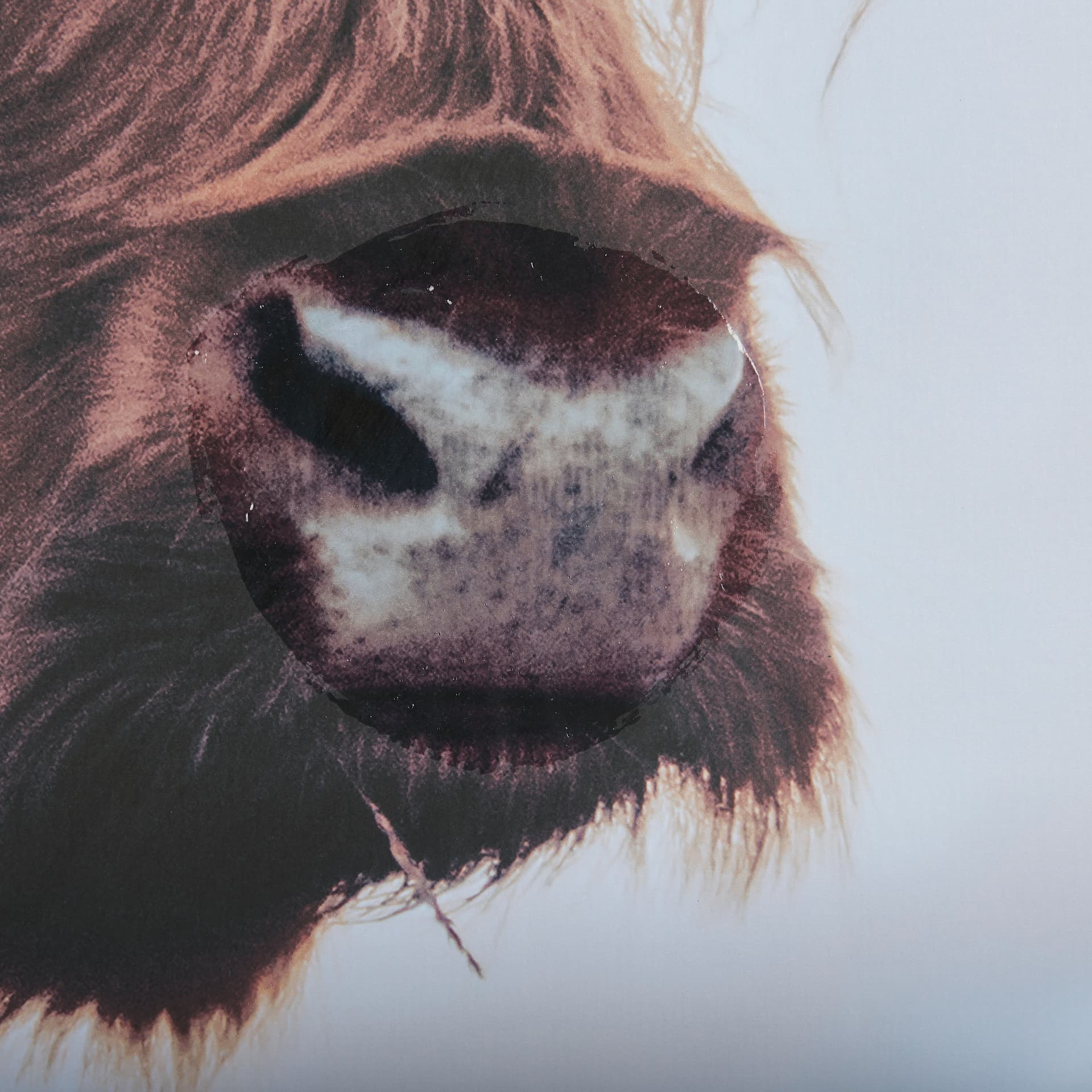 Stark Still-Look by Mercana Studio a Hand Embellished Textured Framed Photo Art Print Matted under G — product photograph